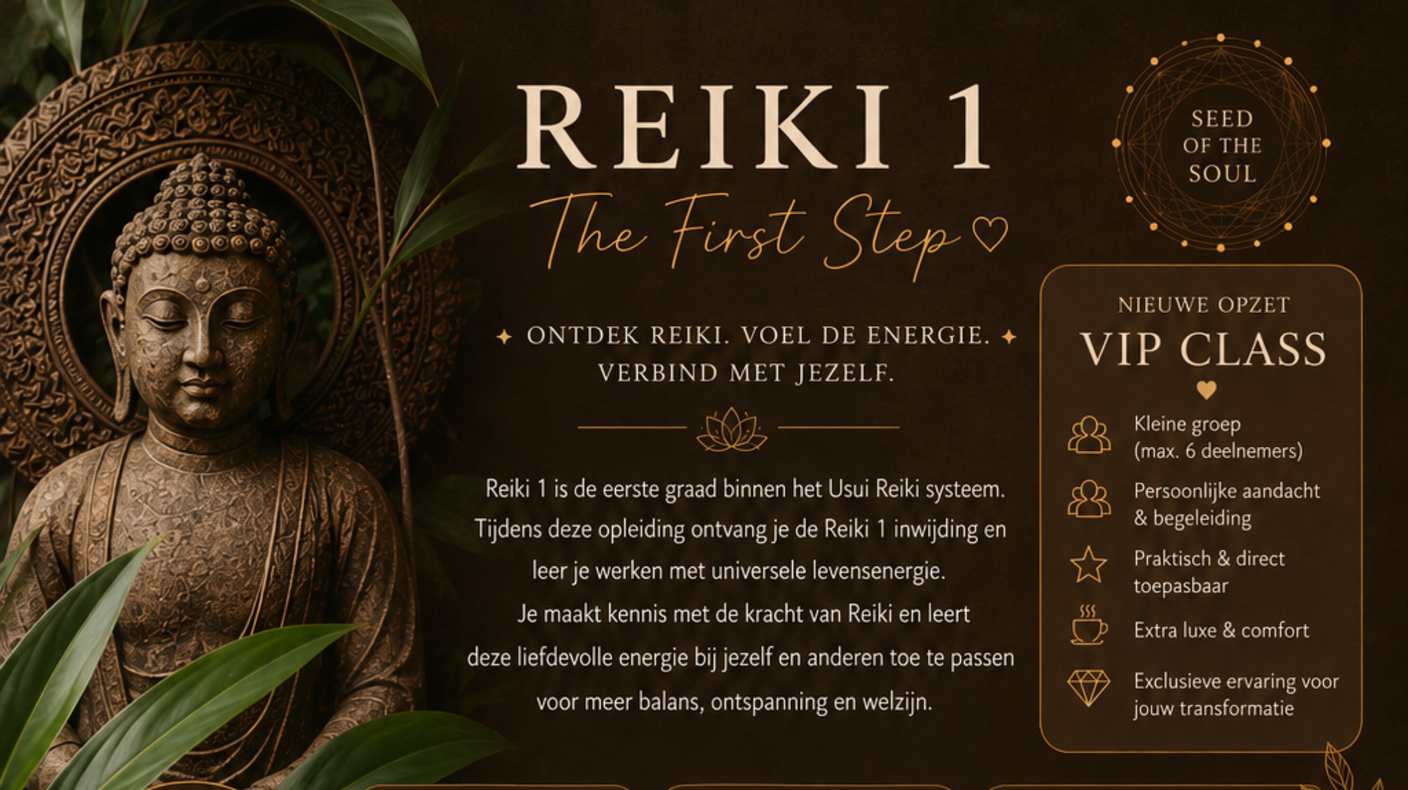 Cursus Reiki 1 ( VIP Master Class)