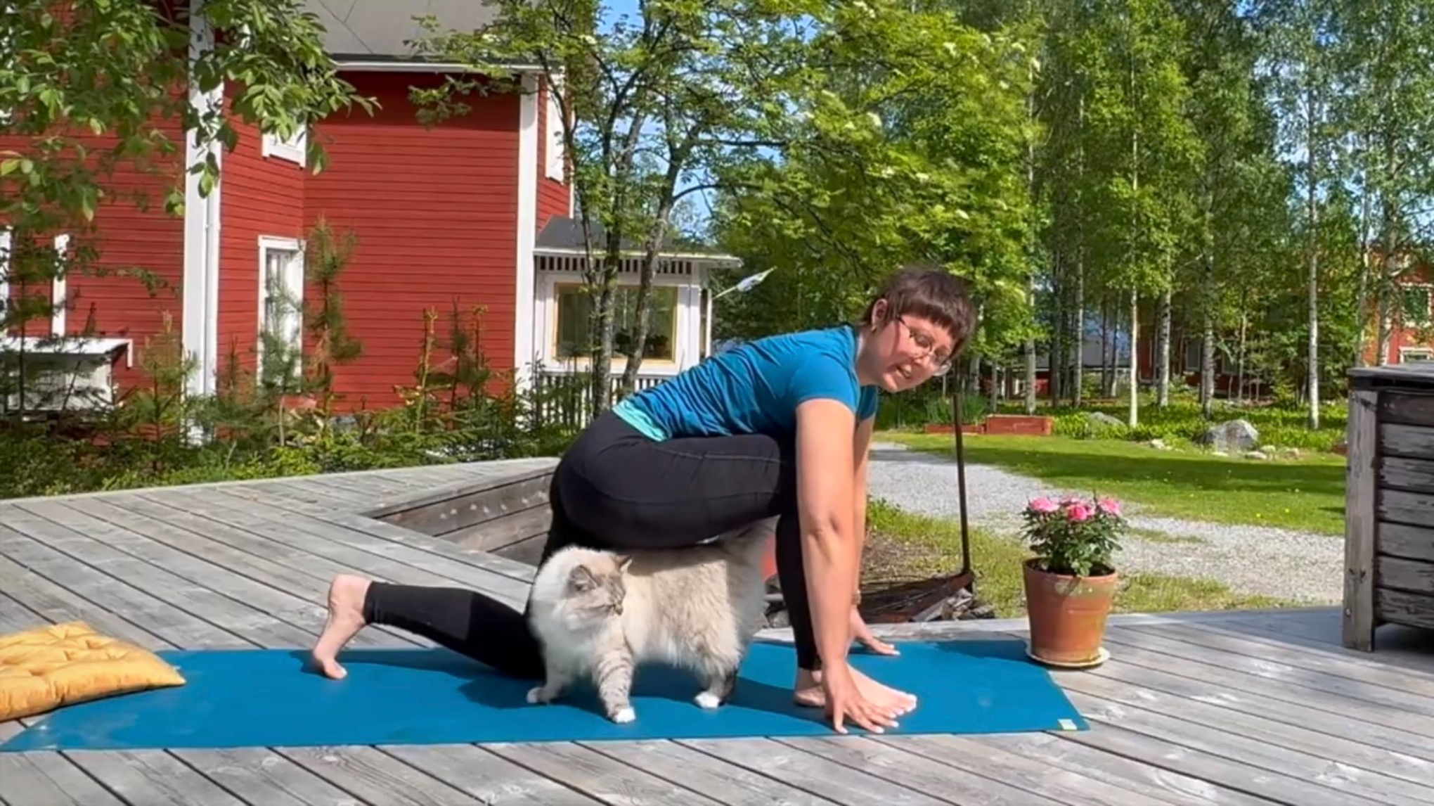 Sommaryoga tillsammans hela juni (via zoom)