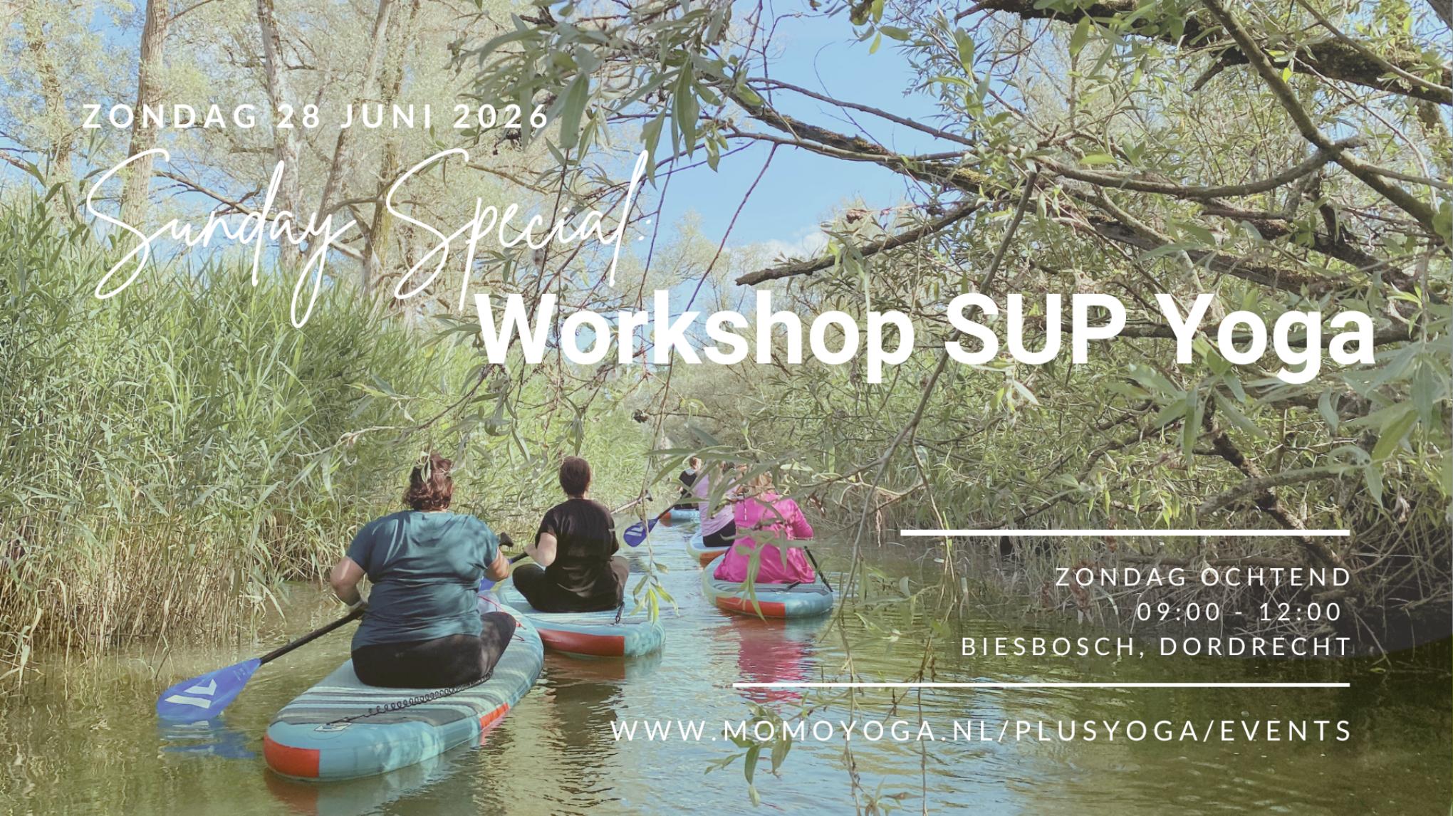 Sunday Special: Workshop SUP Yoga in de Biesbosch