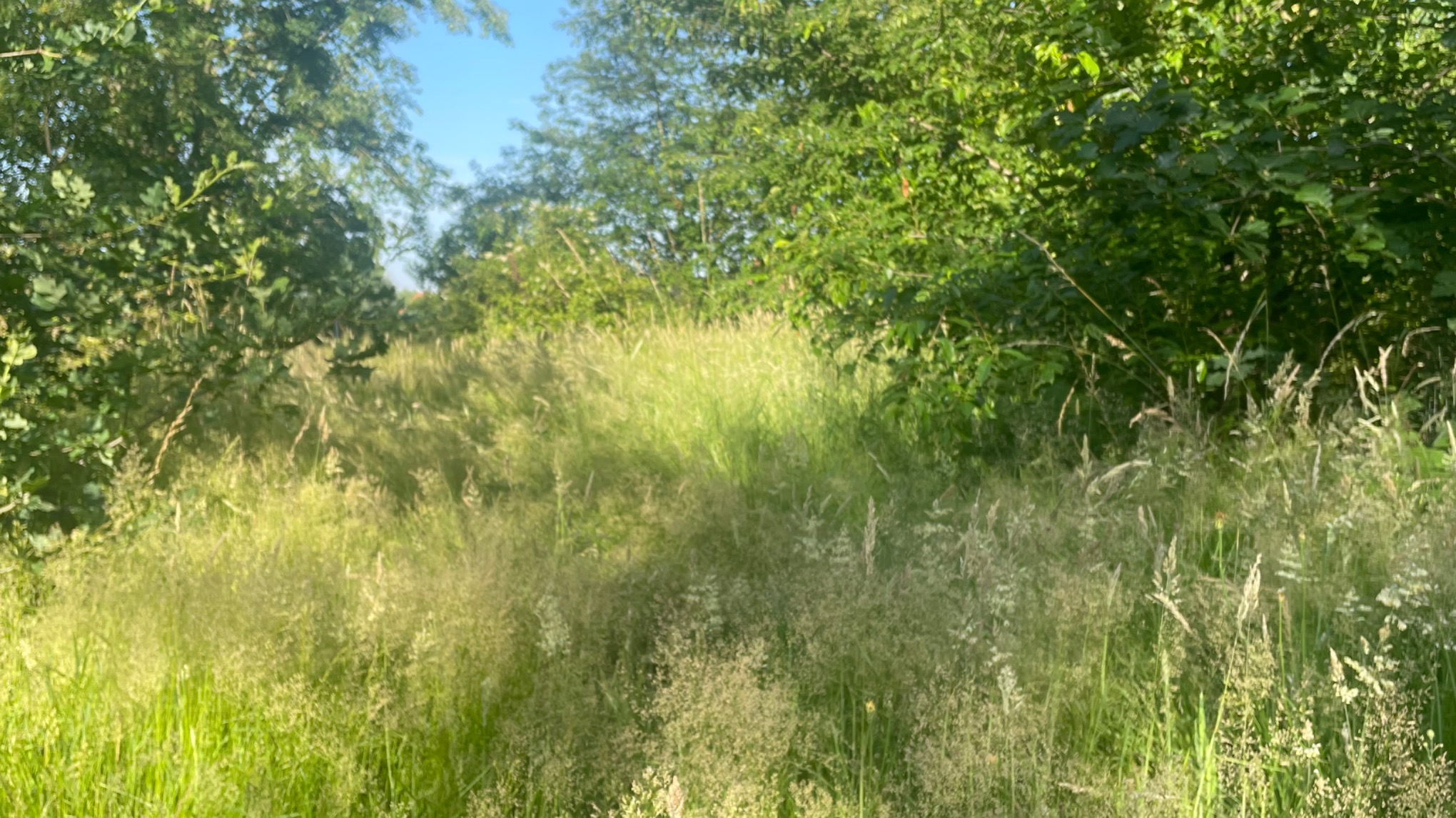 Yoga en sound meditation landscape