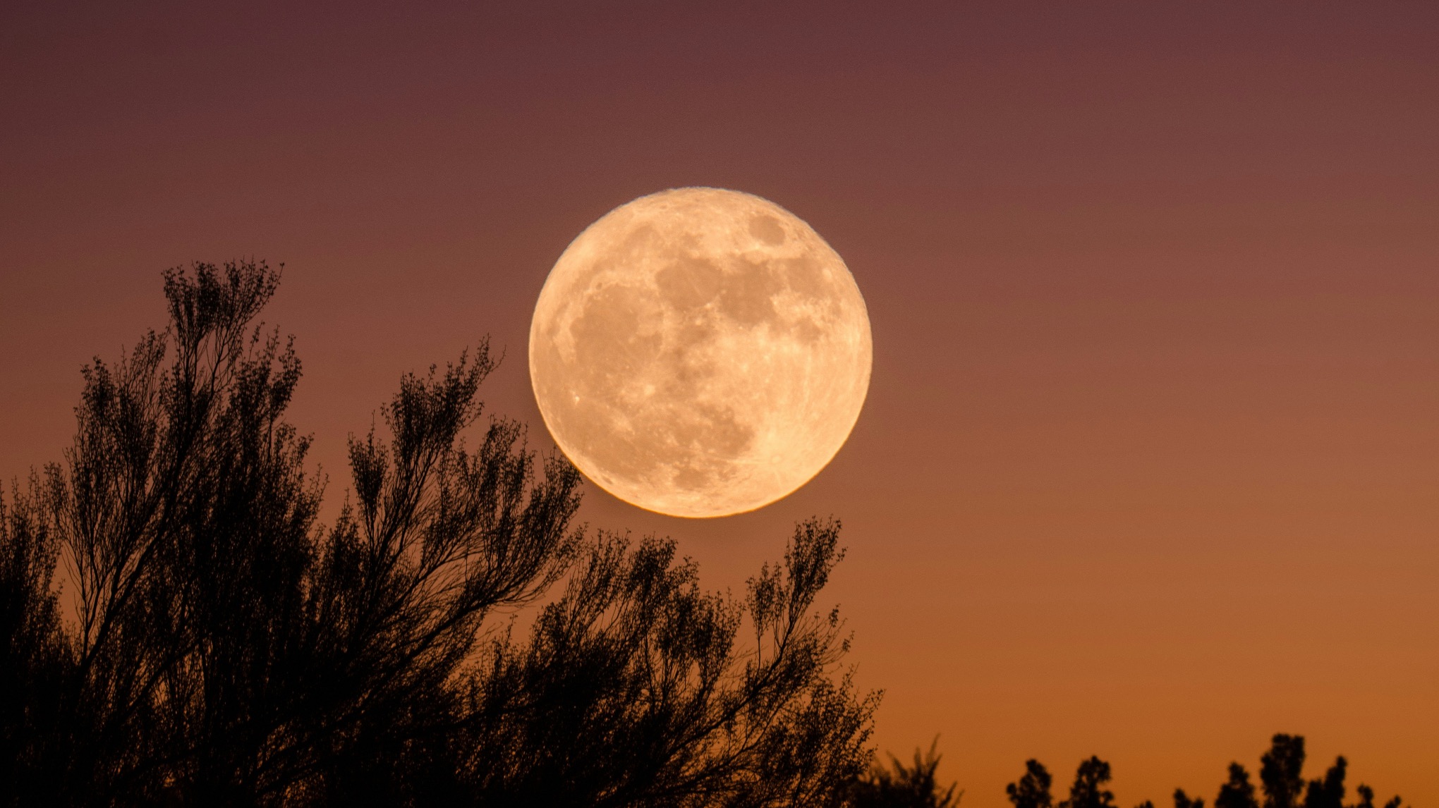 Sup Flow | Full Moon Special 🌕