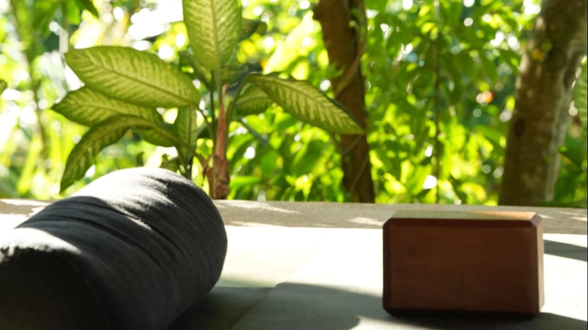 Yoga Forêt de Moncor 🌳