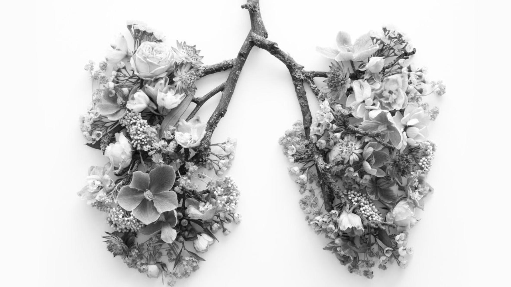 SPECIAL Hartcoherentie (Elisabeth Claes) - STUDIO 1