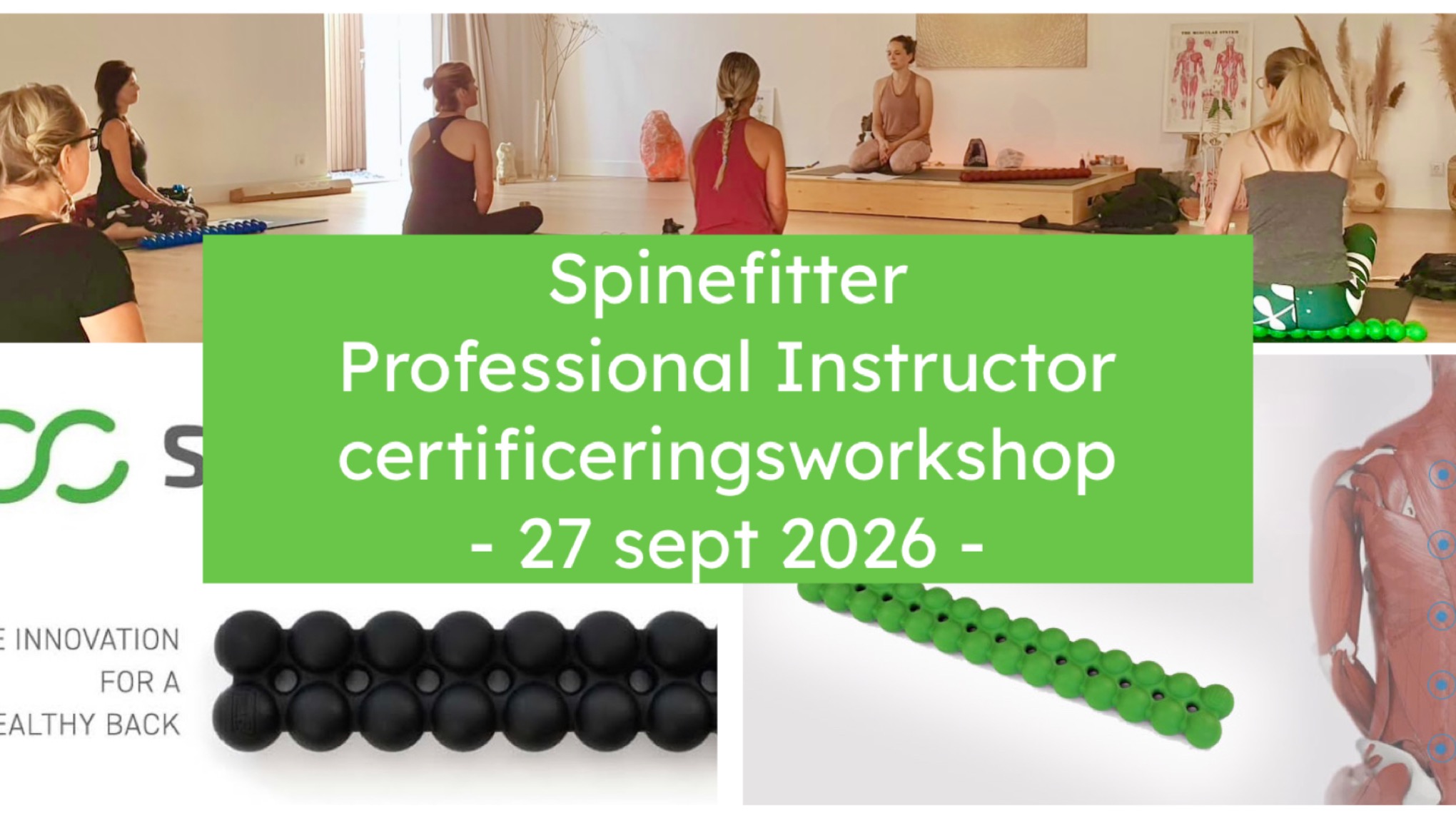 Spinefitter Professional certificeringsworkshop