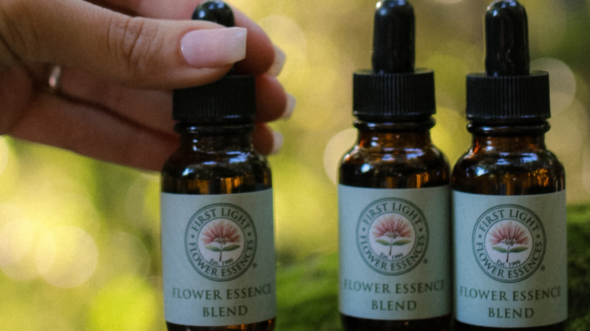 A Native New Zealand Flower Essence Experience