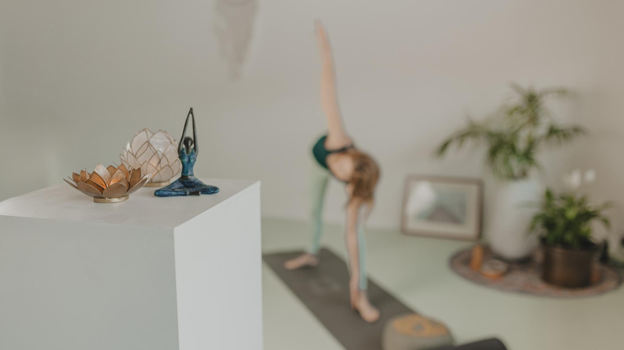 Workshop: ontdek Ashtanga, Pranayama & Yogafilosofie (max. 10 deelnemers)