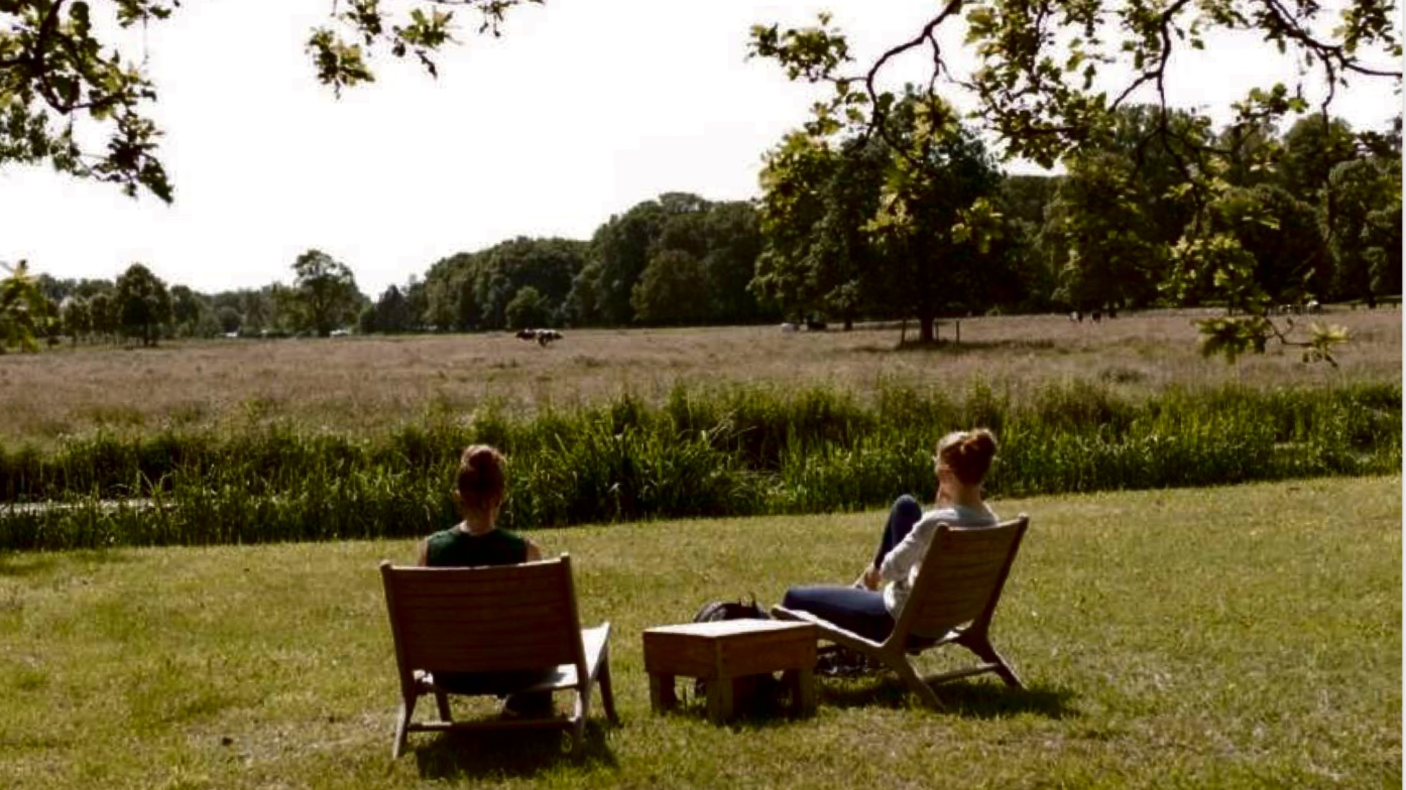 🌿 Adem & Eva Dagretreat | Yoga, Adem & Natuur