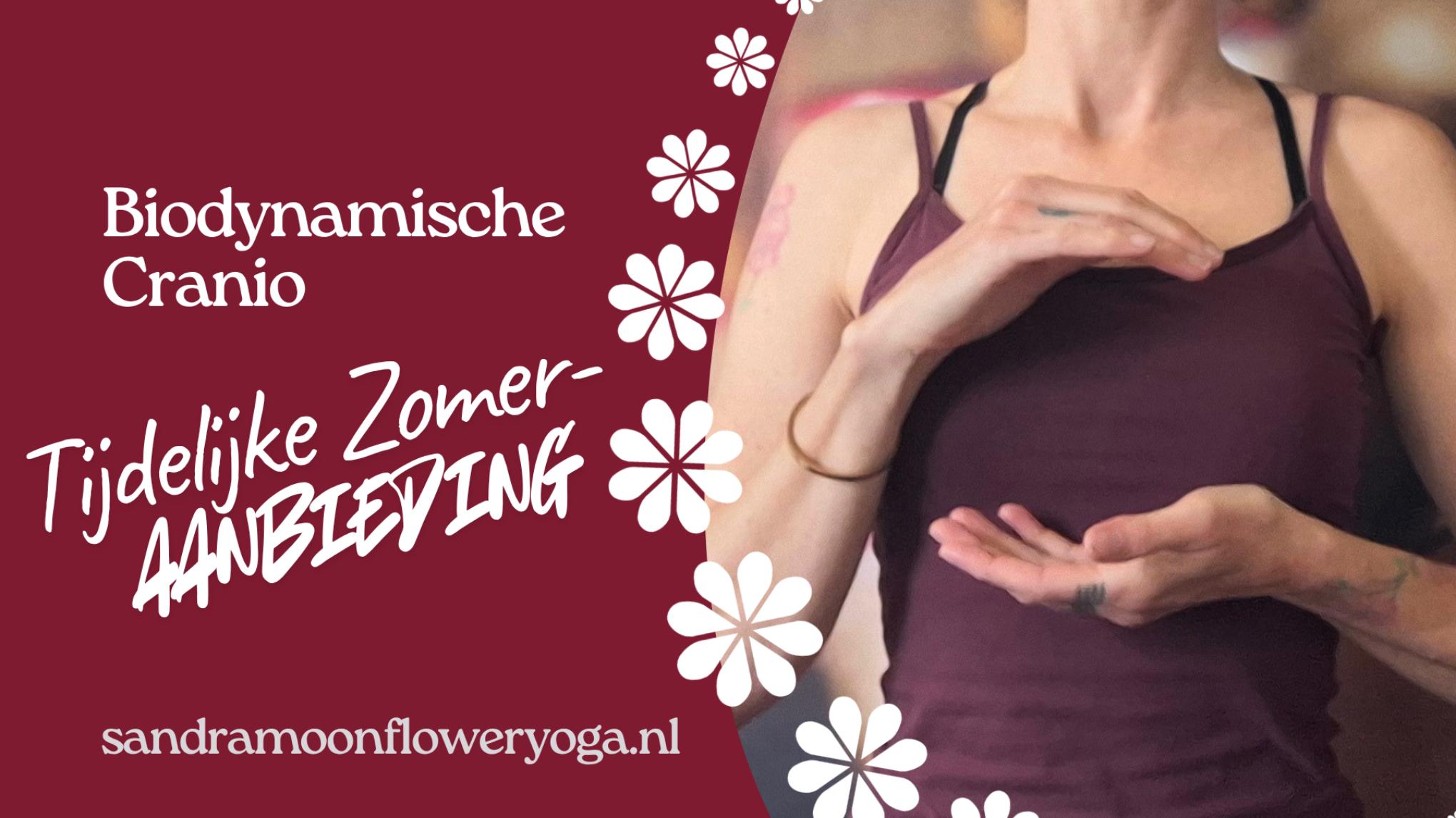 Tijdelijke Zomeraanbieding: Biodynamische Cranio - UITVERKOCHT