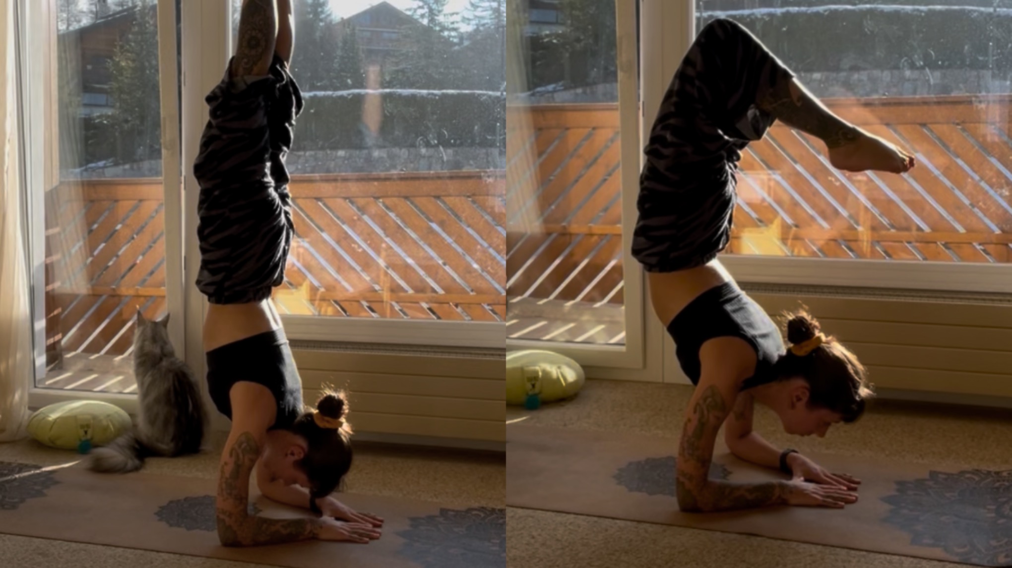 Workshop · Pīñcha Mayūrāsana · Équilibre sur les avant-bras