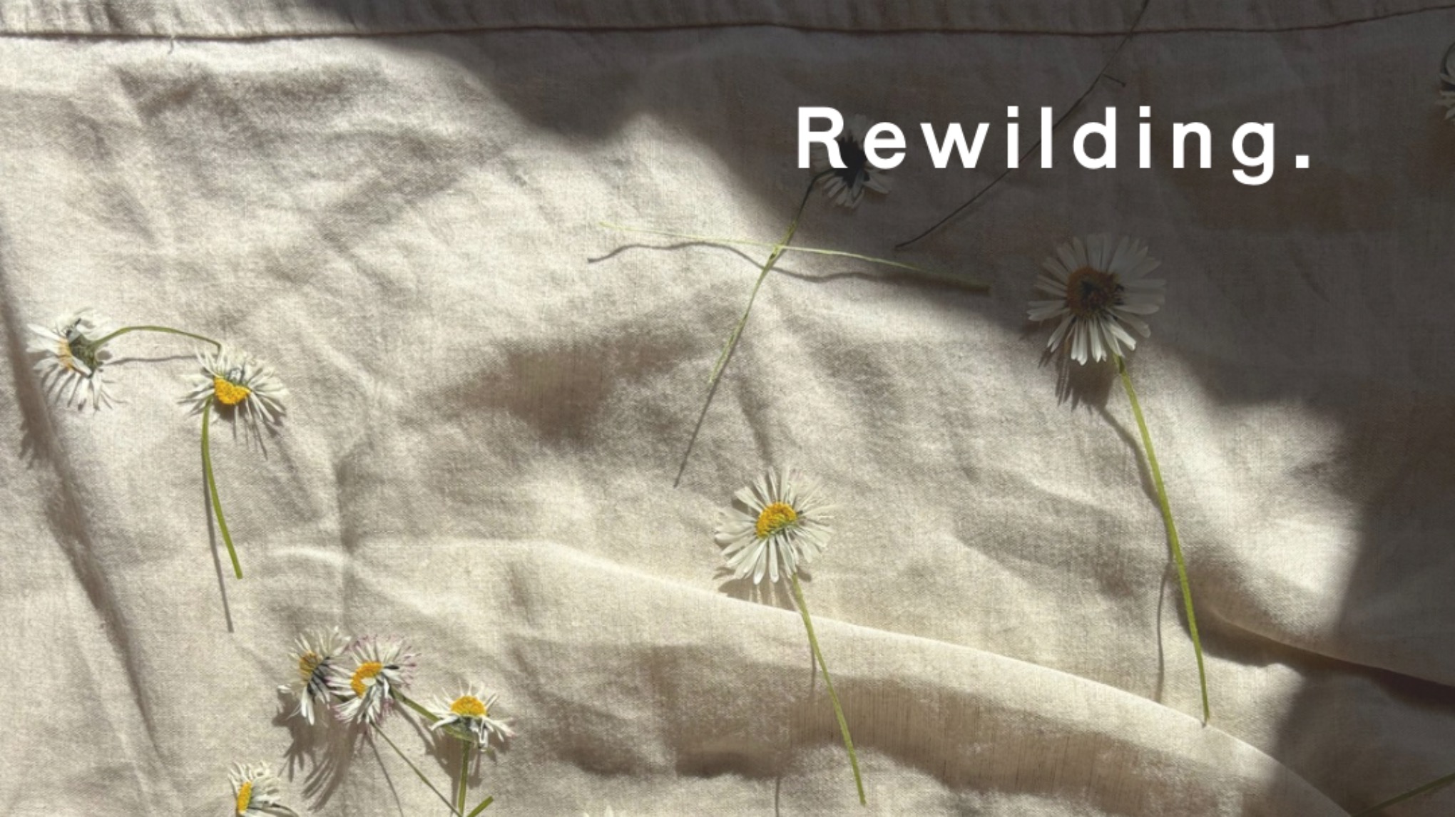 Rewilding (poetry and yoga)