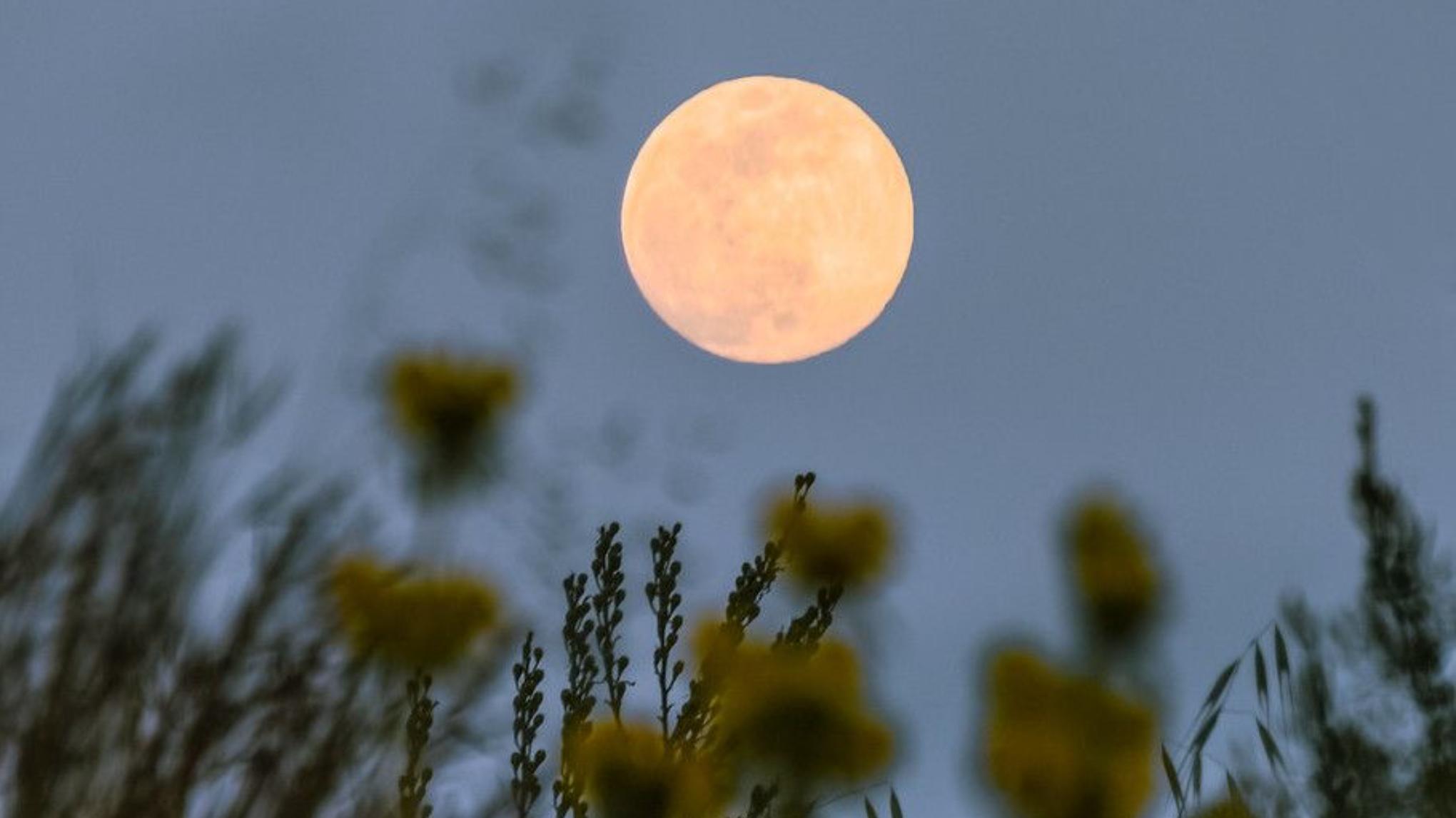 Full Moon Yoga
