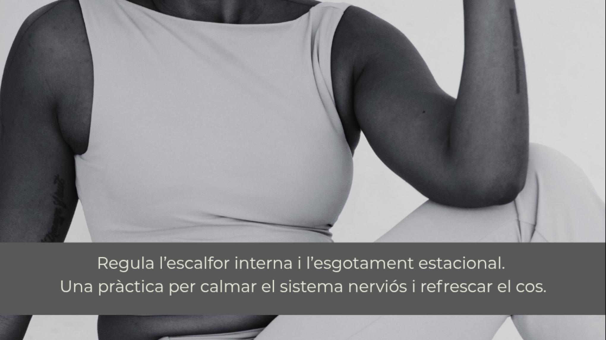 Ioga restauratiu - Iyengar