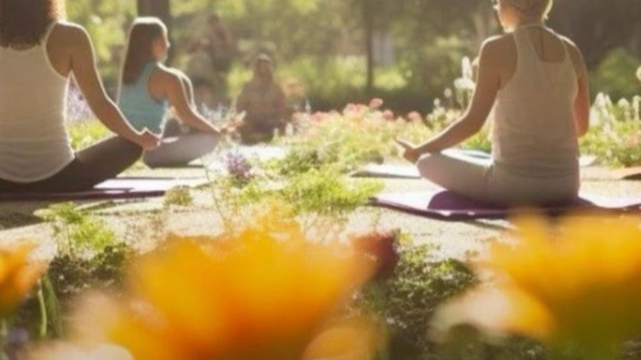 Rooted in Calm - A Half Day Retreat
