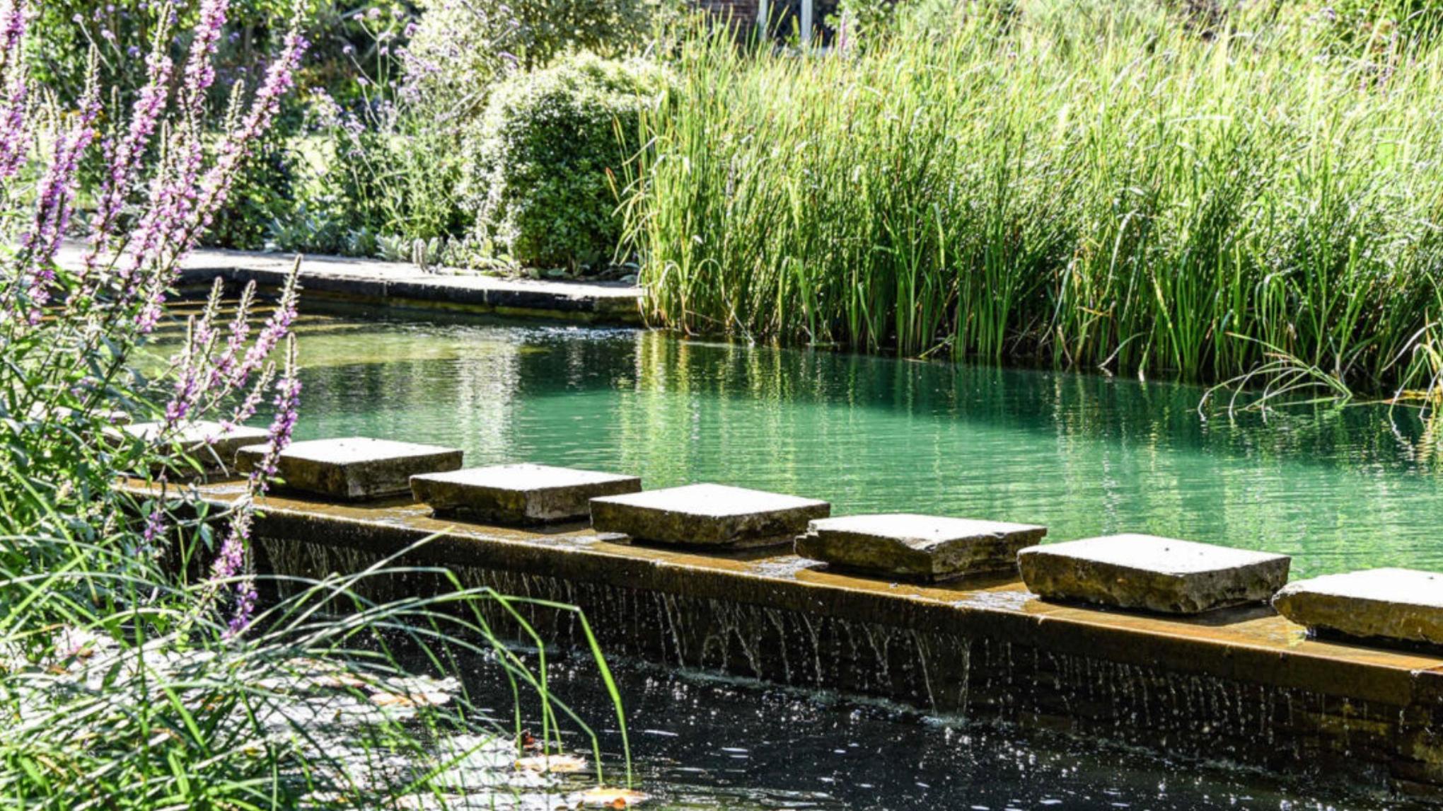 A Summer Day Retreat - Yoga, Nature, Natural Swimming Pool & Space to Rest
