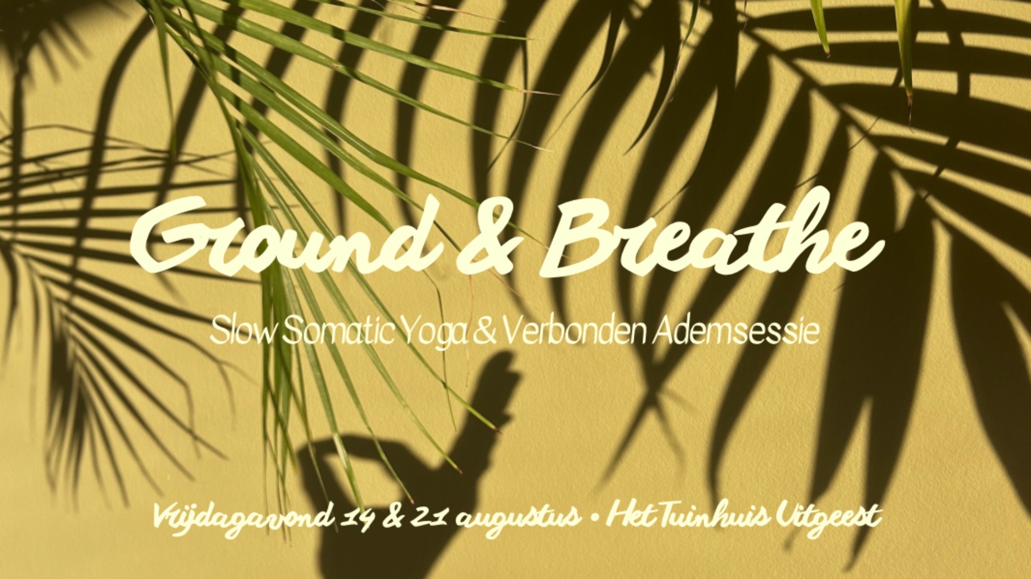 Ground & Breathe | Slow Somatic Yoga & Verbonden Ademsessie 🌿