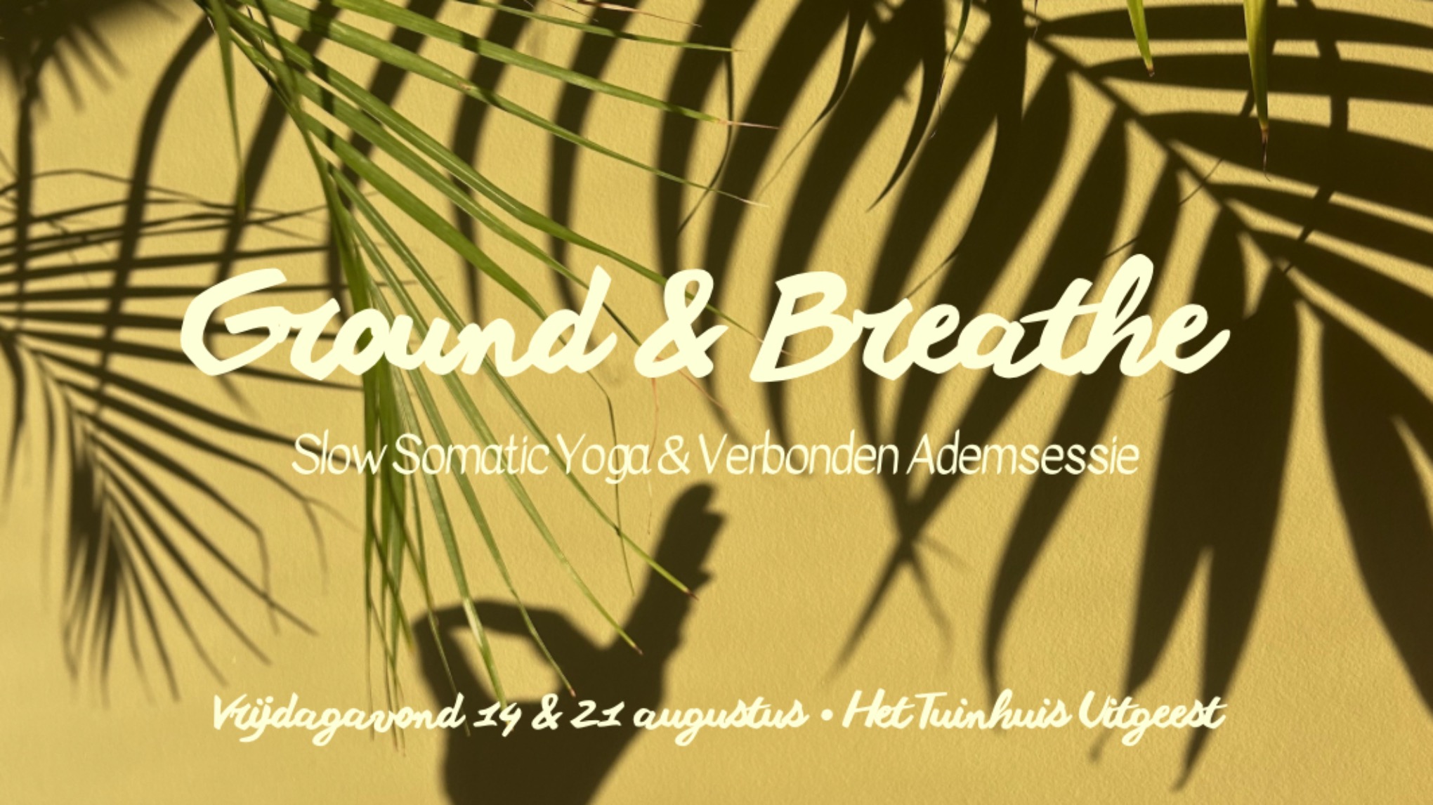 Ground & Breathe | Slow Somatic Yoga & Verbonden Ademsessie 🌿