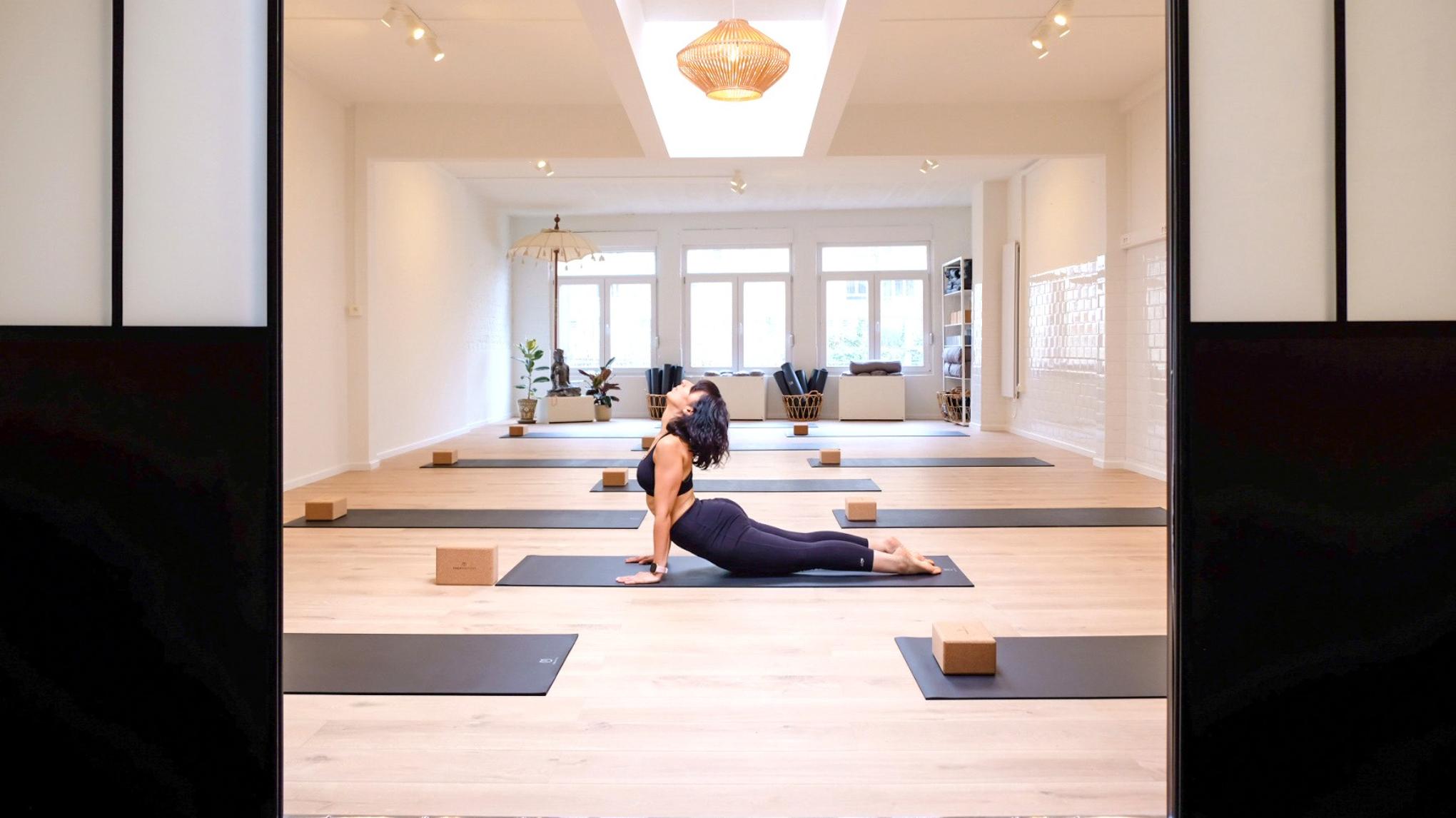 「5-Class Series」The Art of Yoga • Foundations & Alignment