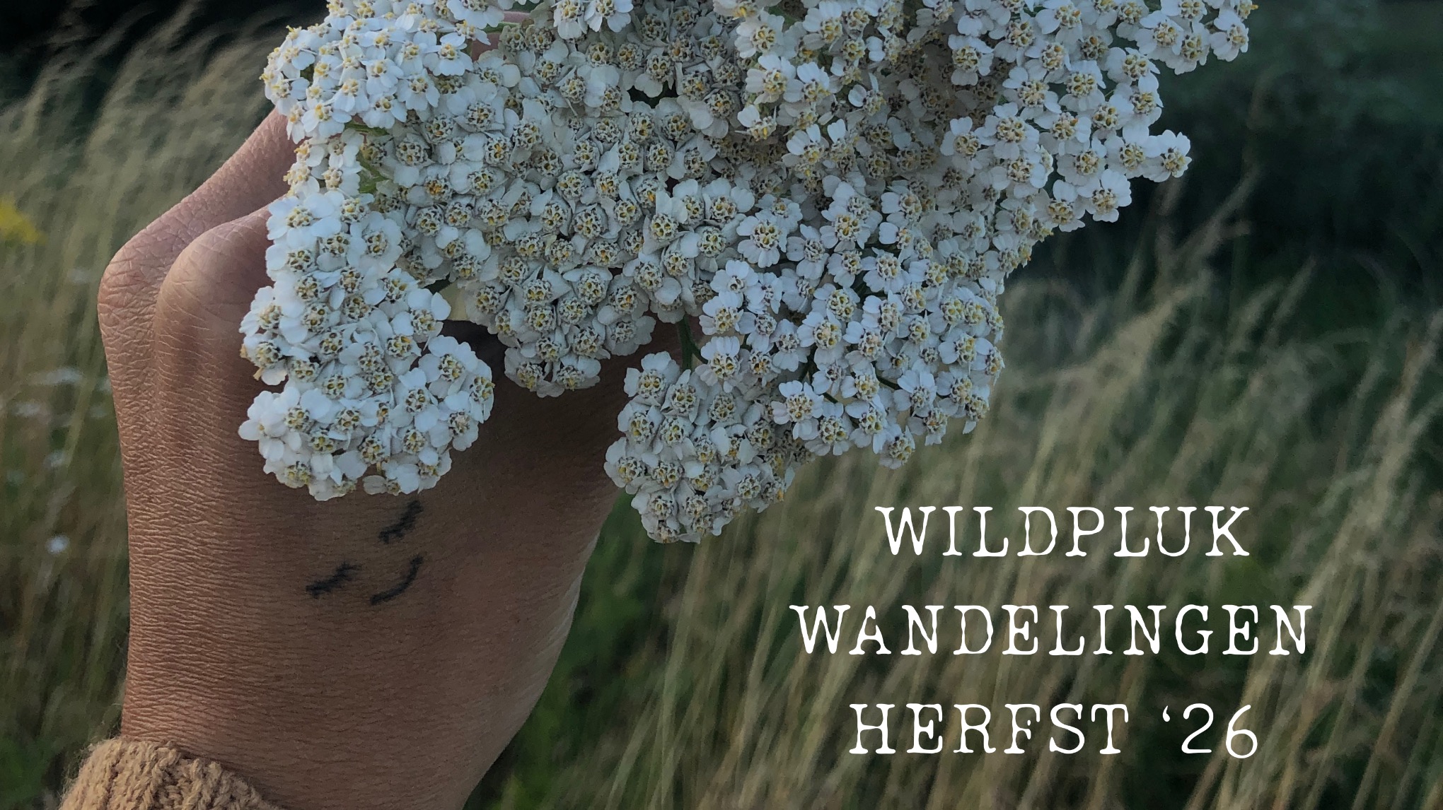 Wildpluk wandeling met Sara (A Wild Way)