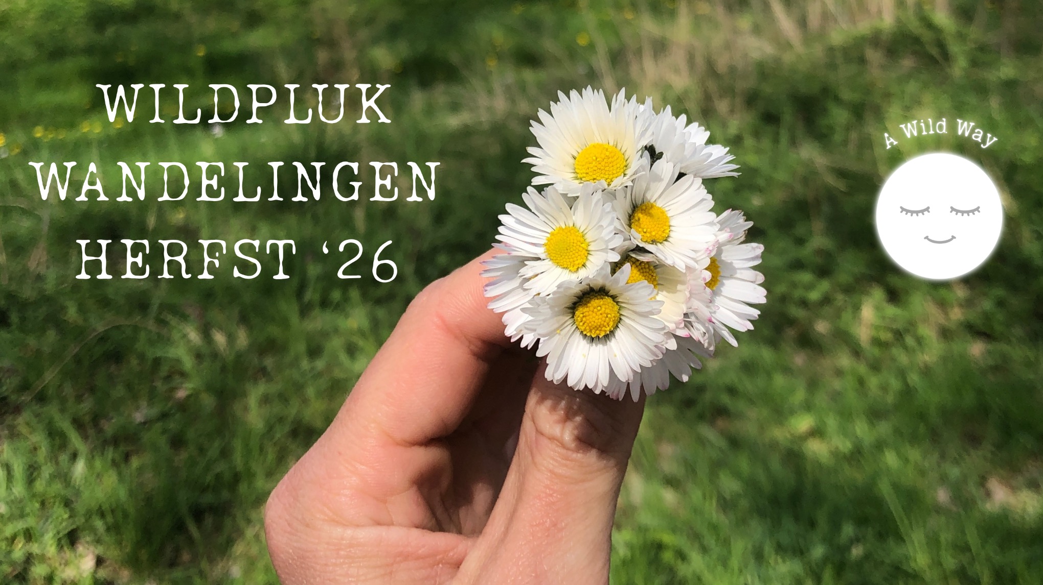 Wildpluk wandeling met Sara (A Wild Way)