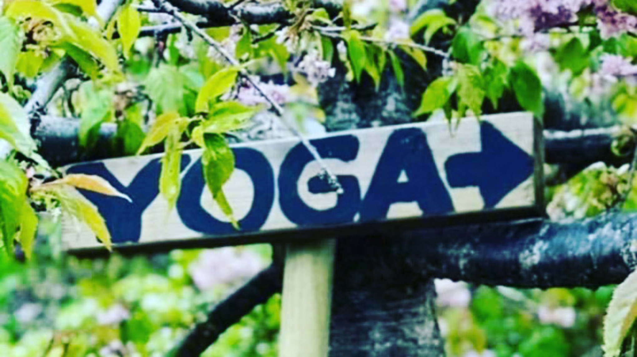 Yoga basic, nybegynnerkurs i yoga