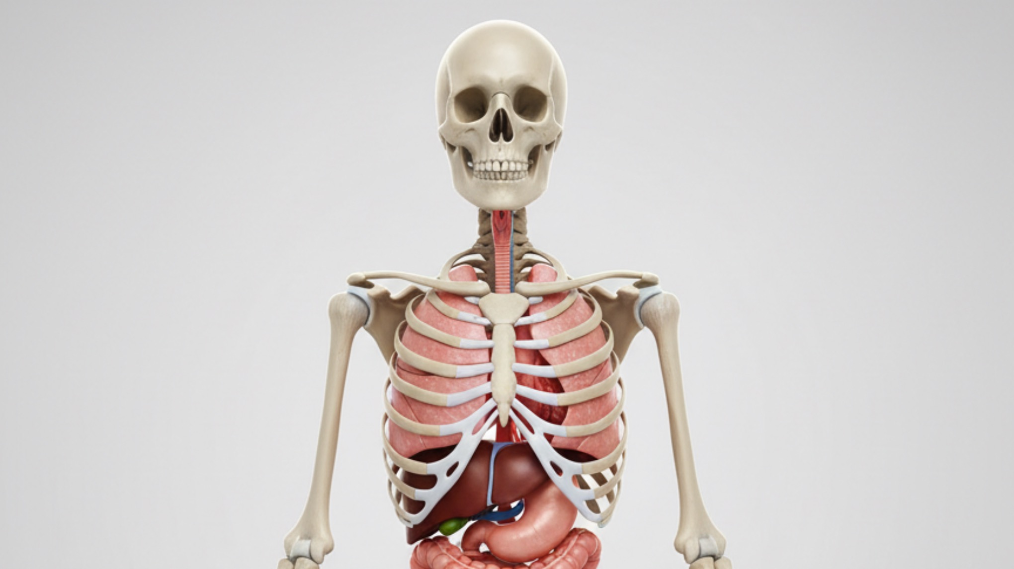 Unlocking Your Body’s Potential: Knees, Ankles & Feet
