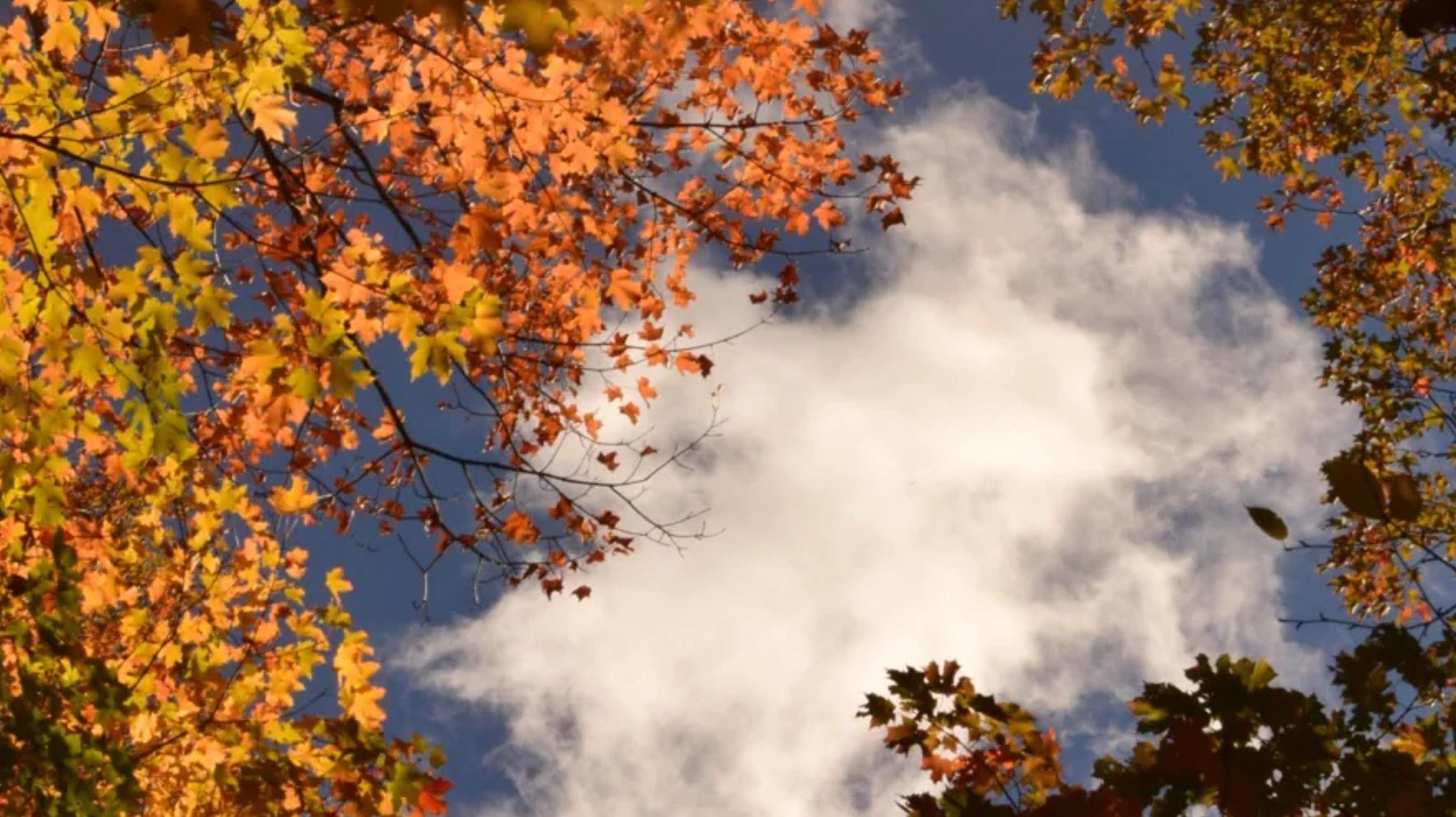 Herfst Reset (incl. lunch) bij Pluk