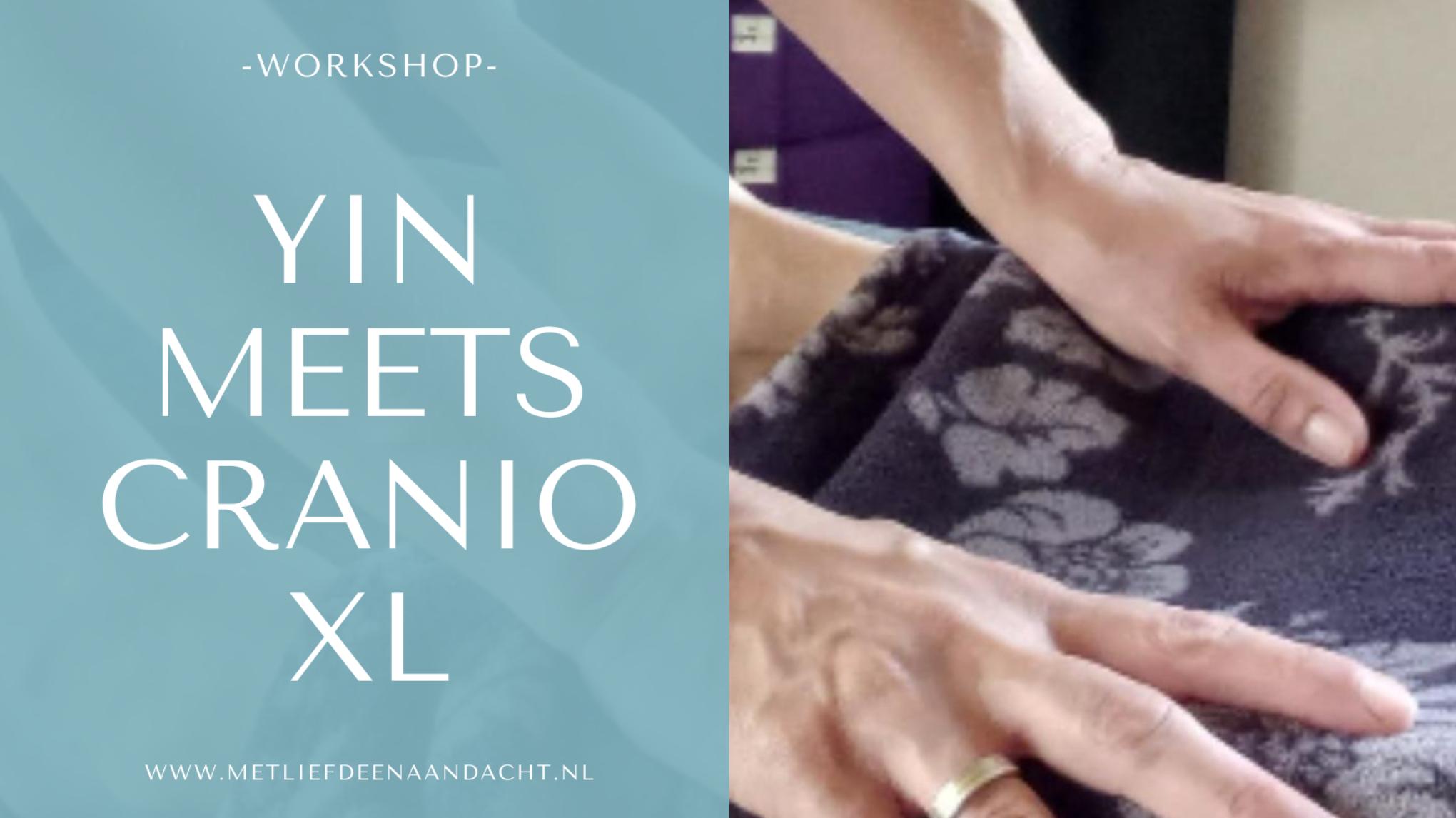 Yin meets Cranio XL