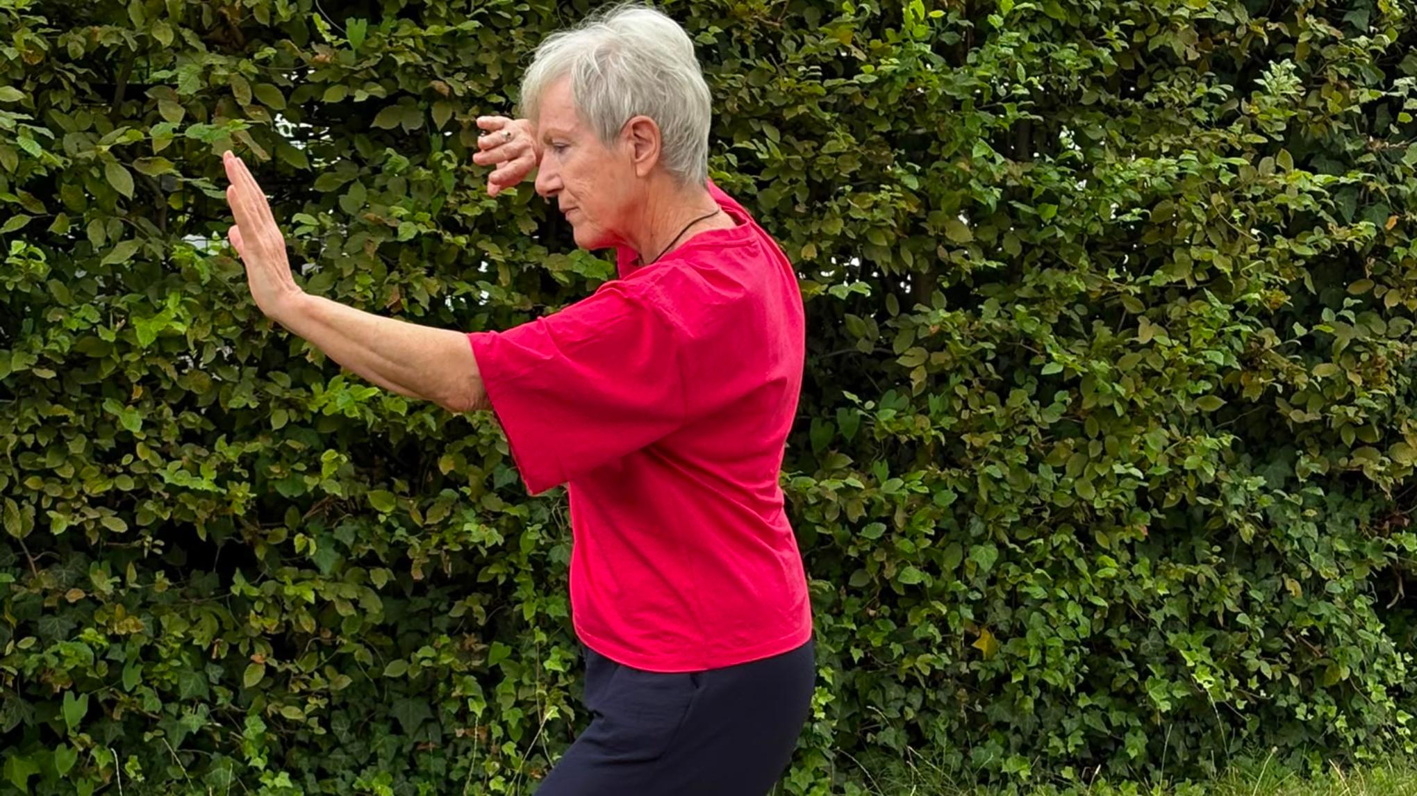 Tai Chi Voor Beginners 5-delige reeks