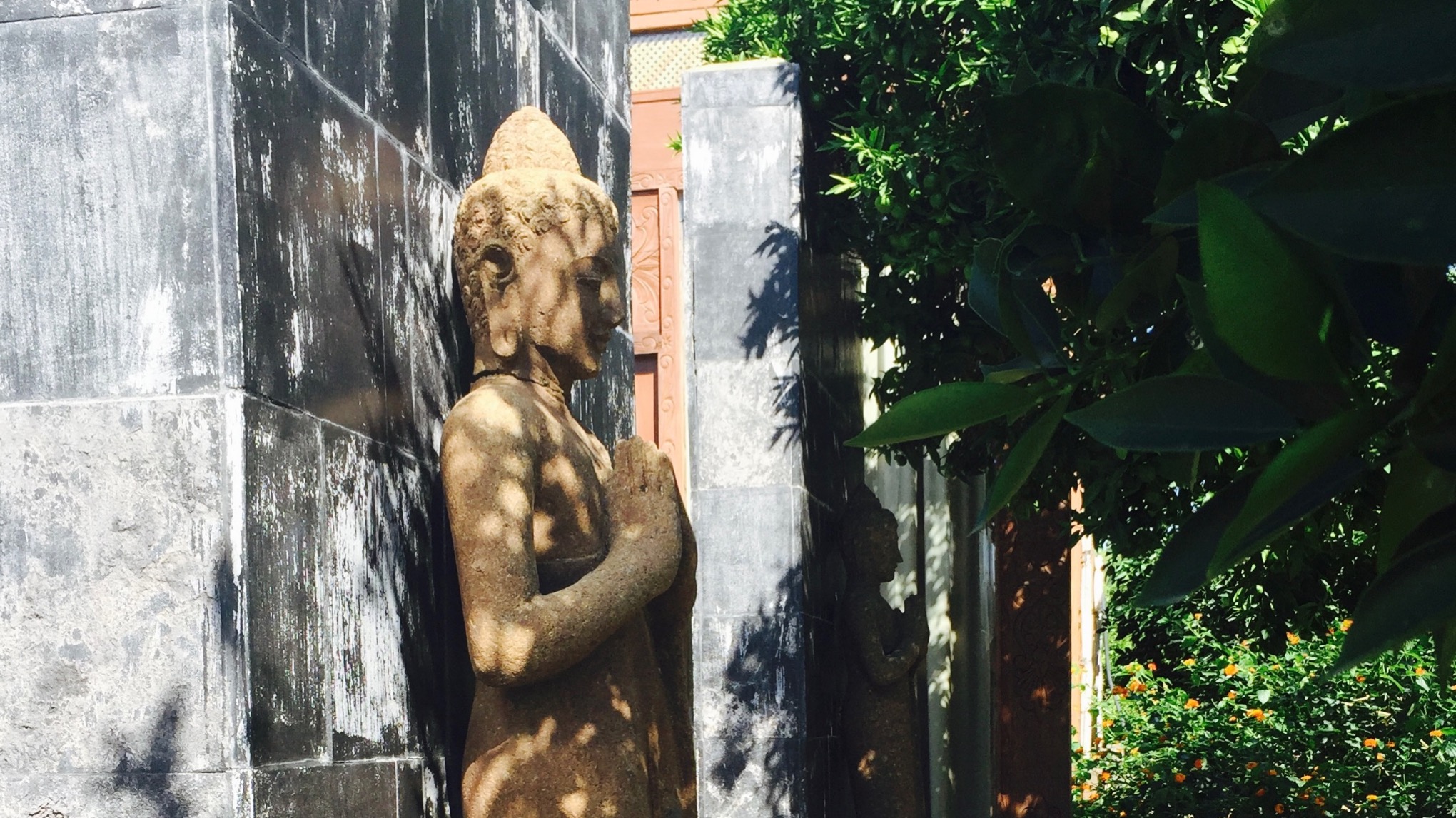 Kundalini in Motion with Carolyn - Awaken your intuition
