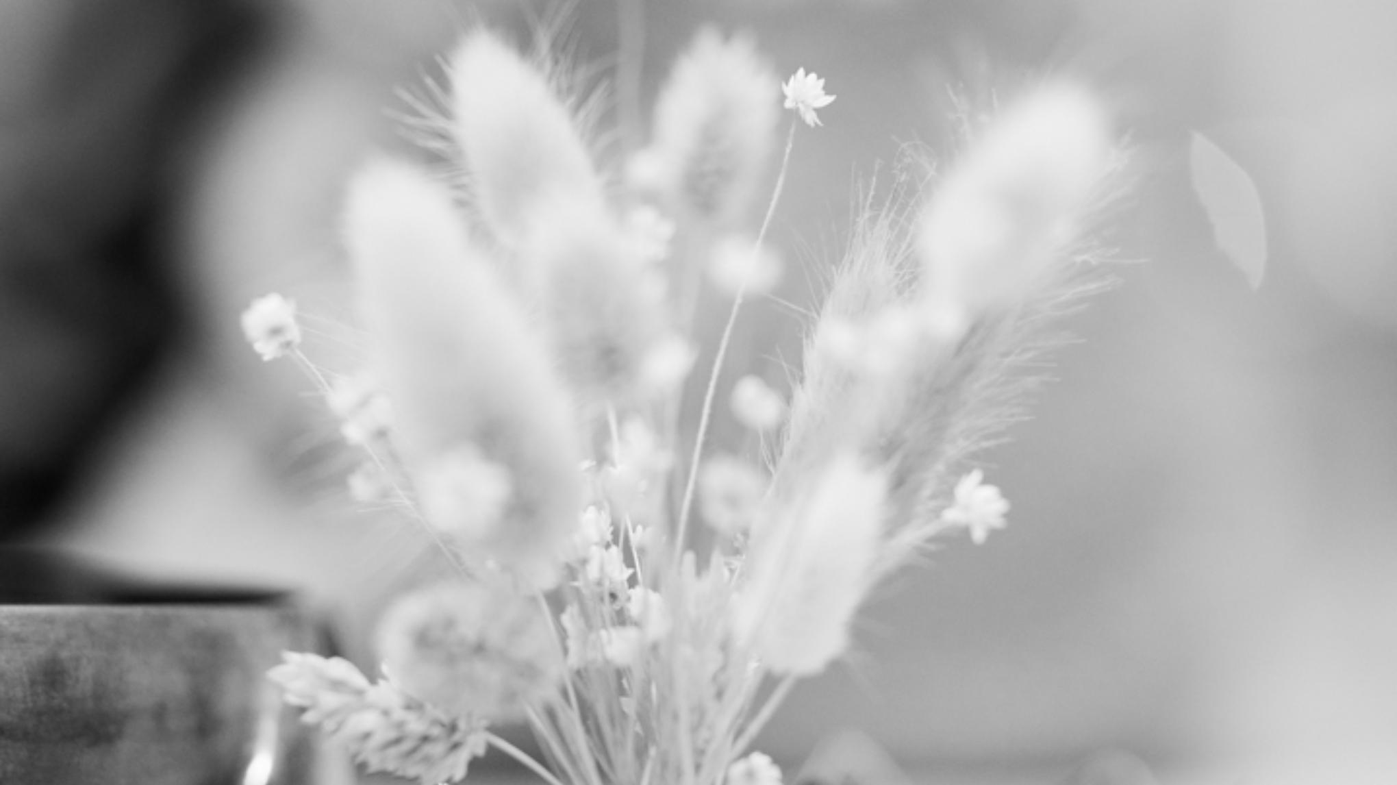 Open Dag - gratis workshops & meer!