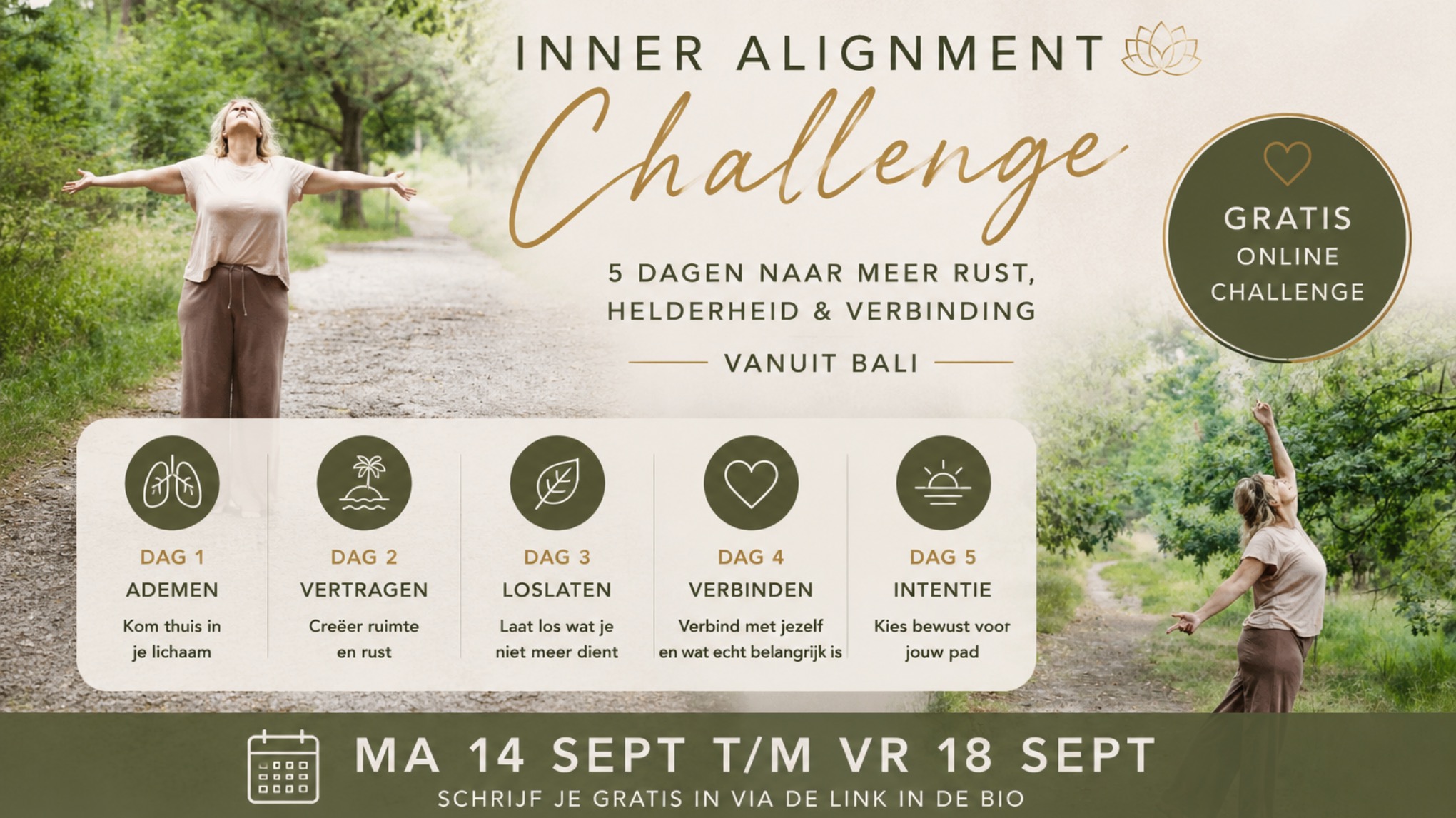 Inner Alignment Journey