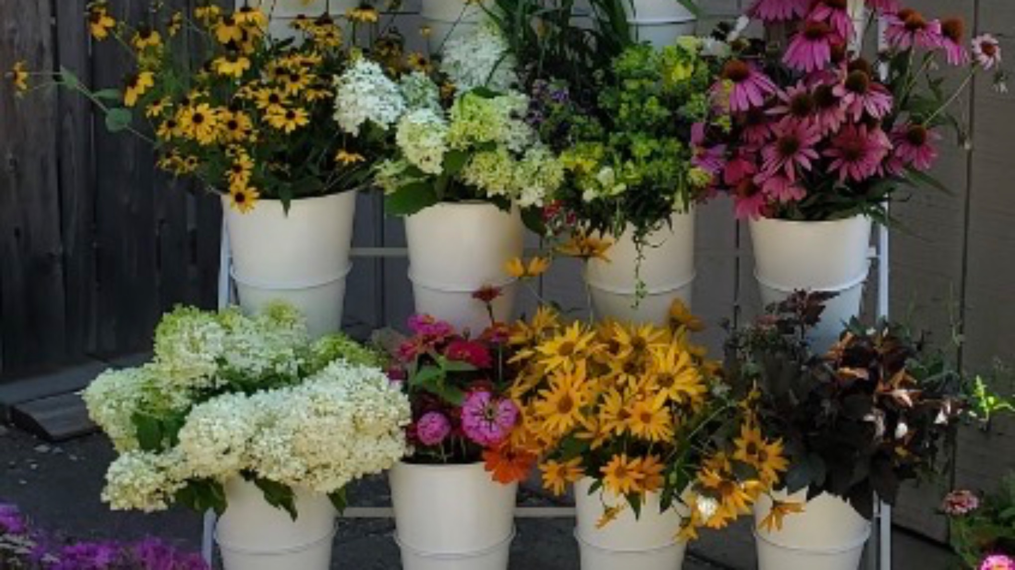 Flowers & Flow