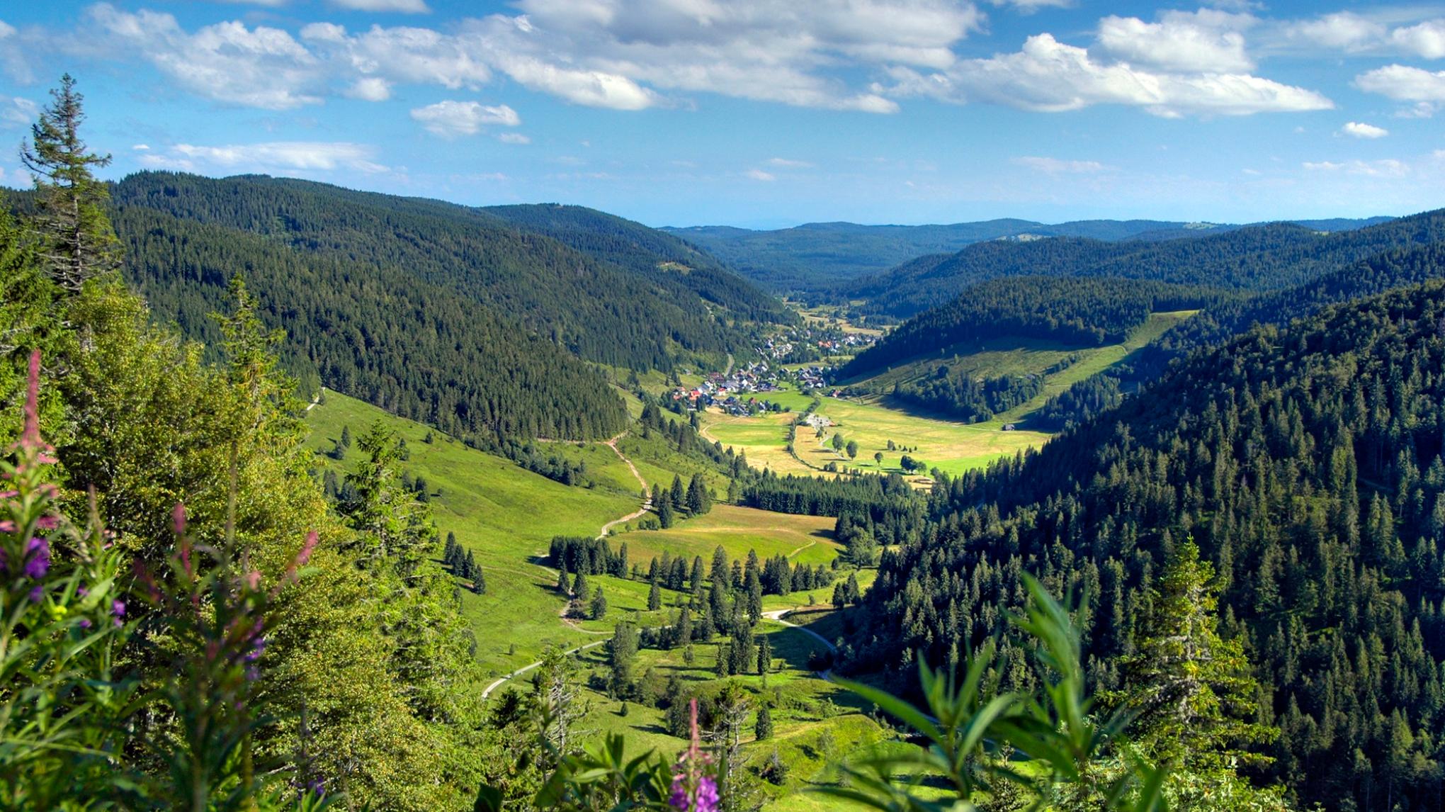 FRÜHLINGS-RETREAT IM SCHWARZWALD