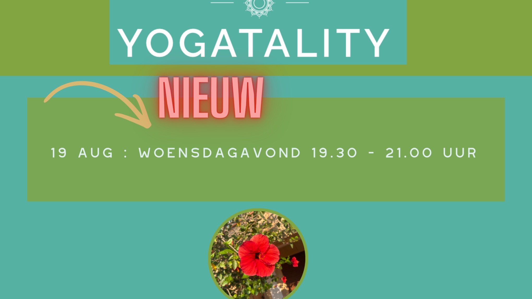 Yin XL yoga met een lange eindontspanning KANS OP ZOMERVOORDEEL!!!!