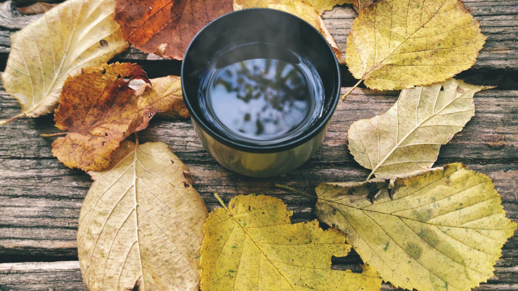 Rest and reset - herfst editie