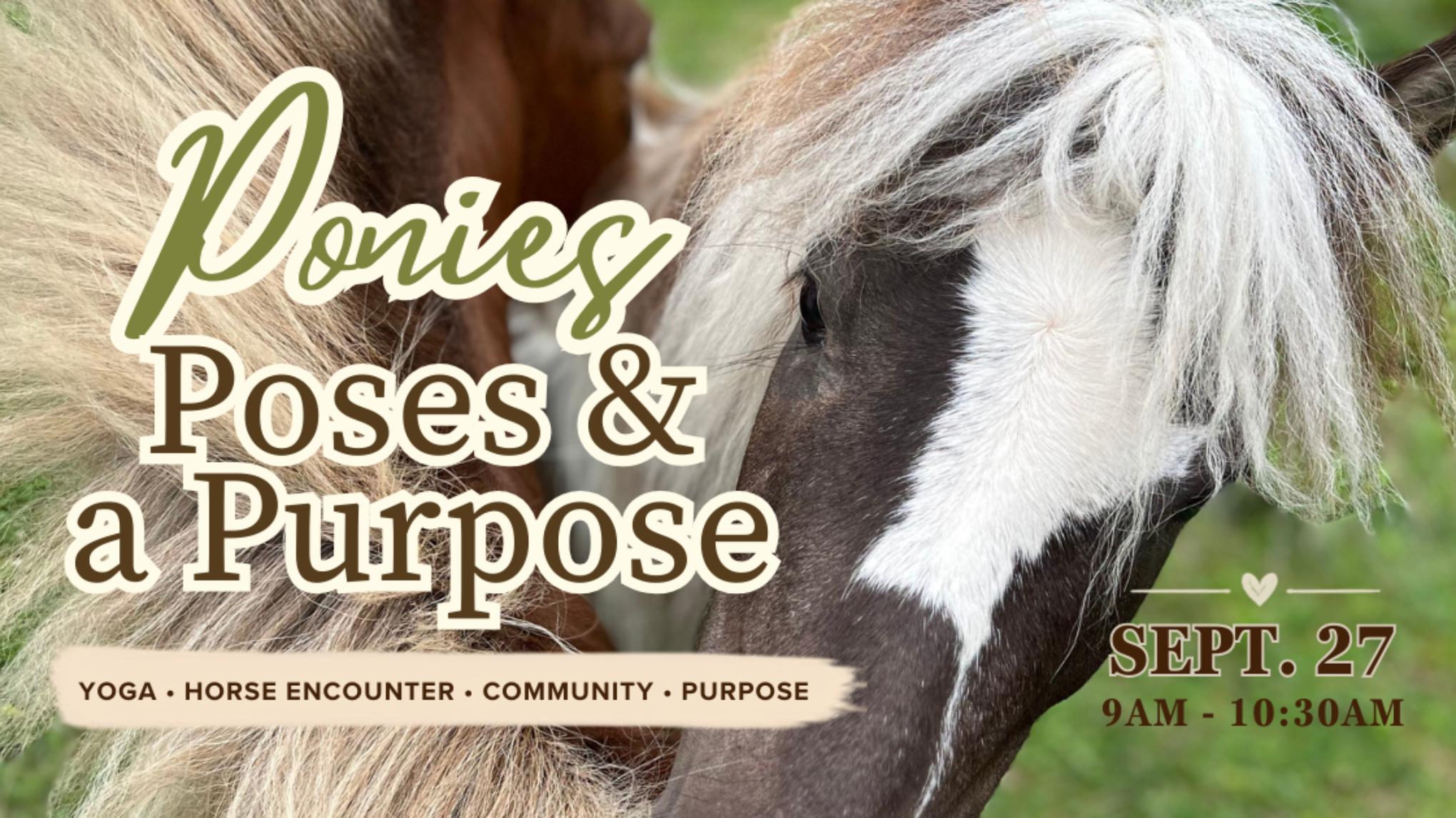 Ponies, Poses & a Purpose