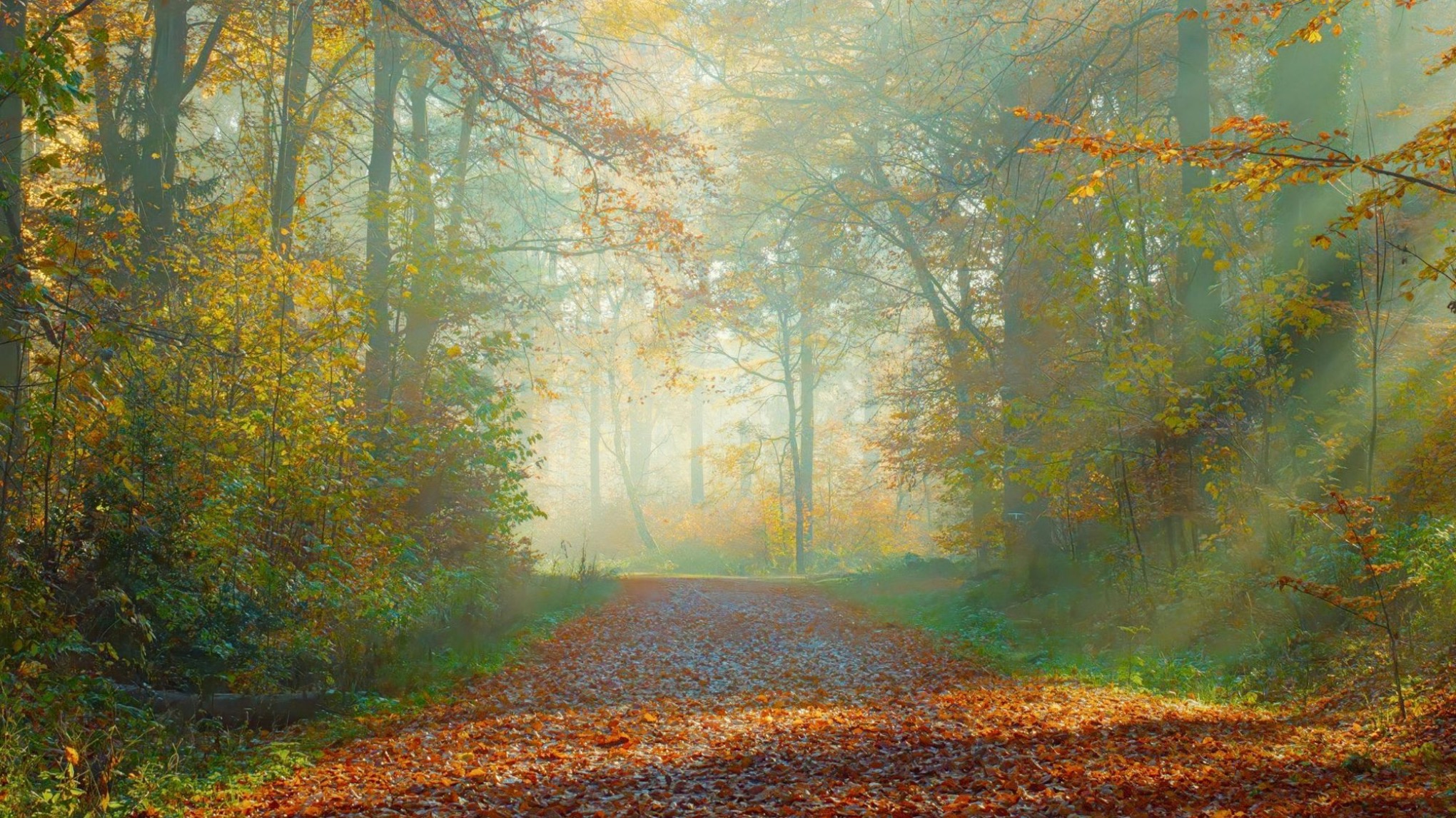 Detox Retreat im Herbst