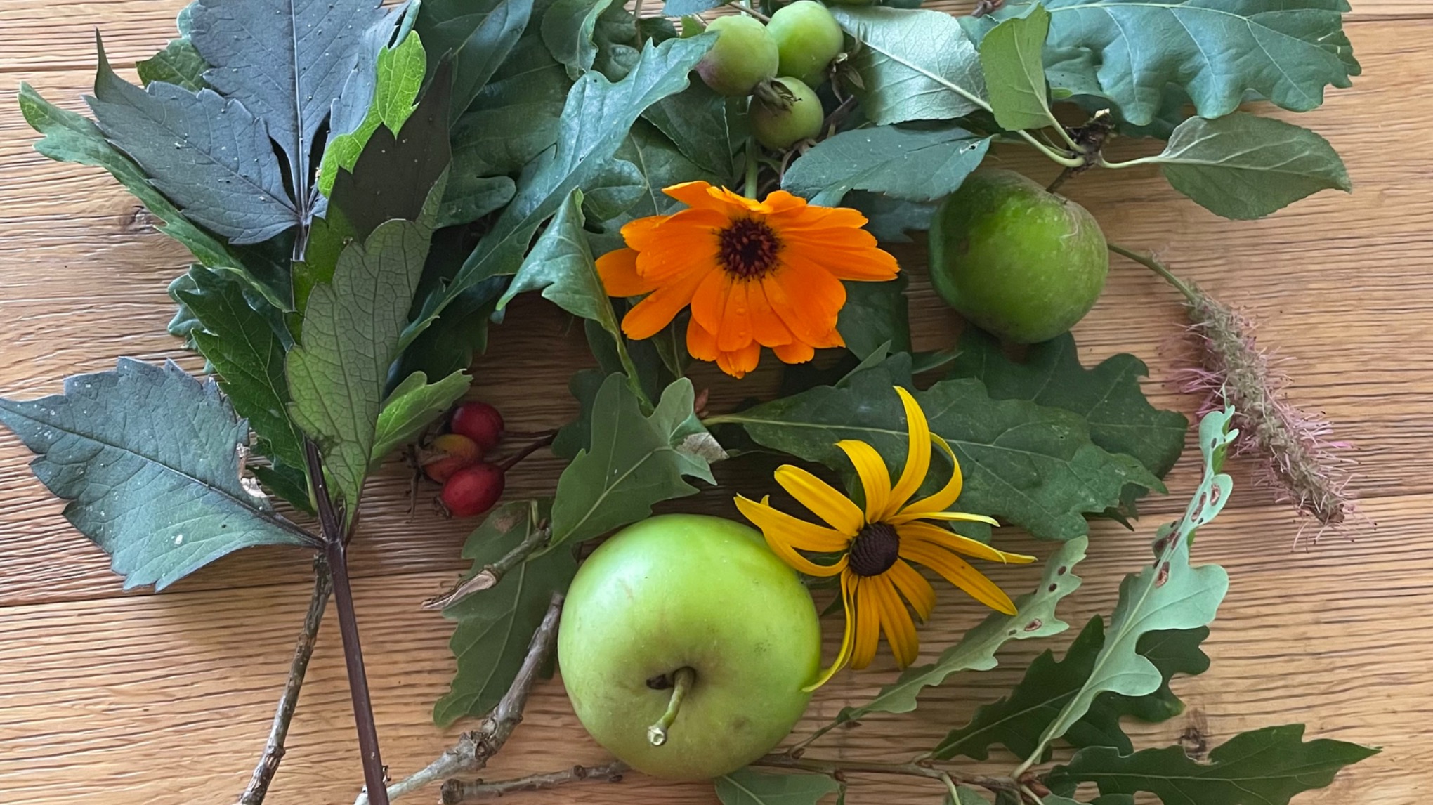 Autumn wellbeing day retreat