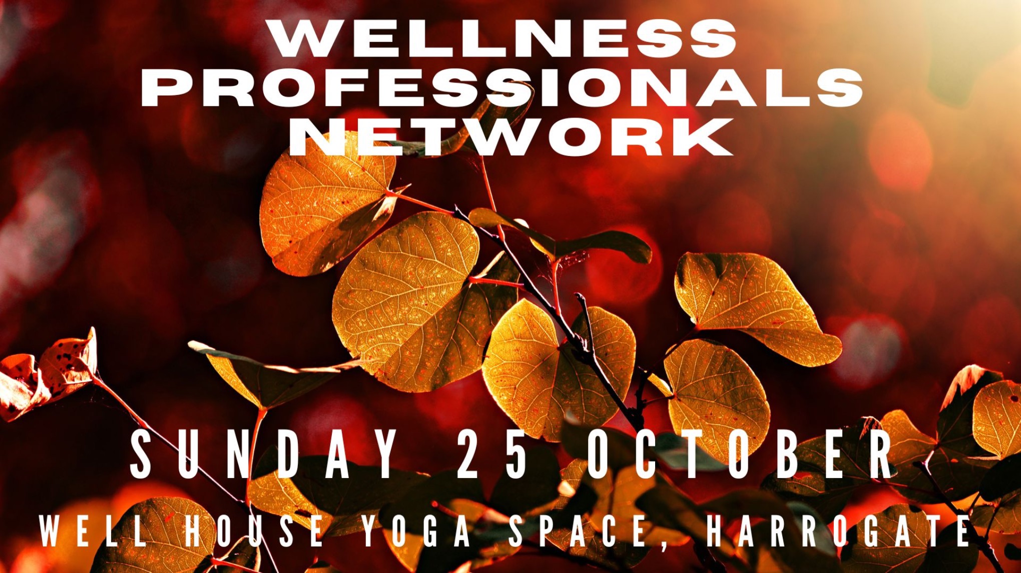 Wellness Professionals Network - October