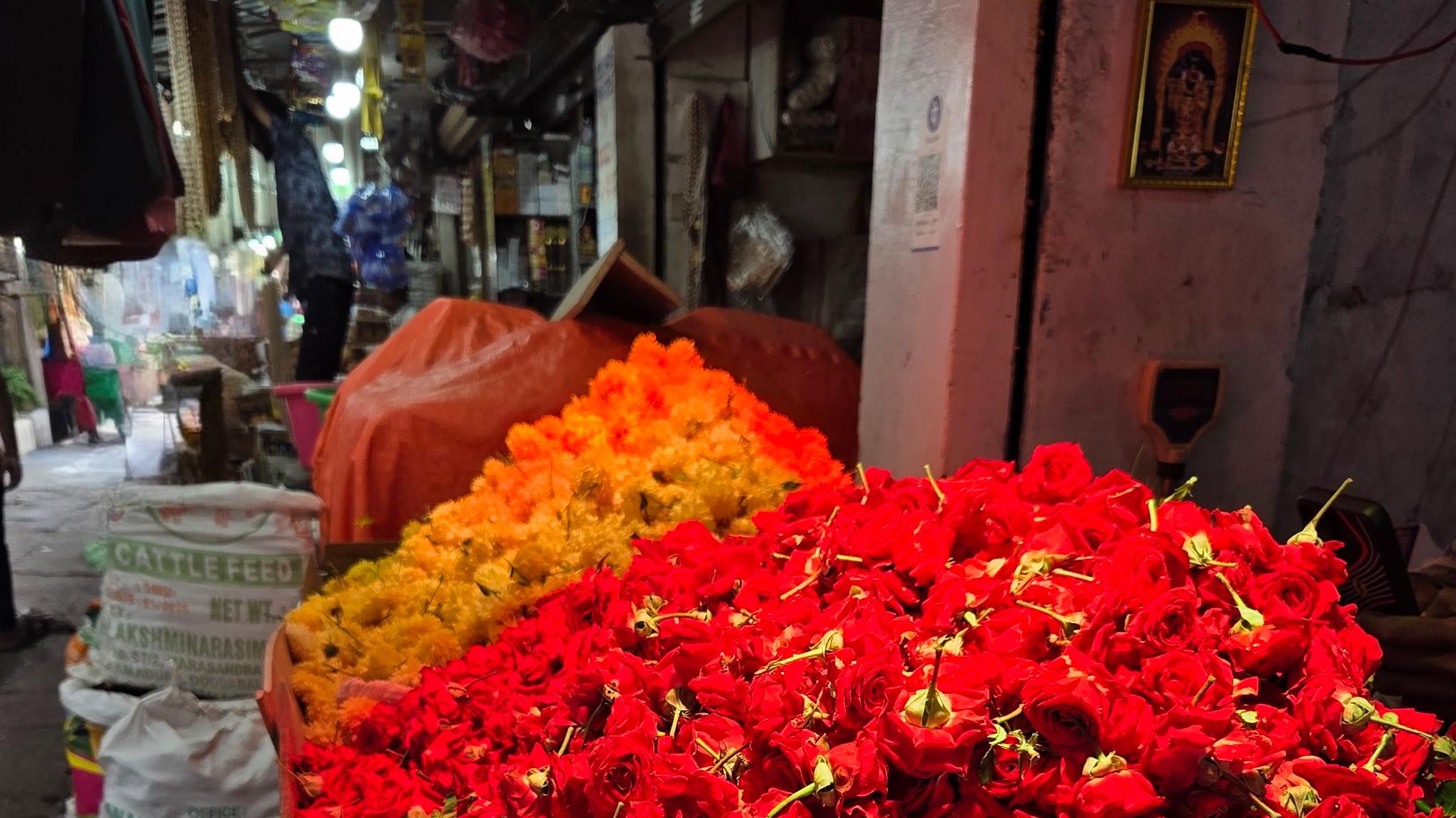 Mysore Magic: A Jivamukti experience with Clare Nicholls.
