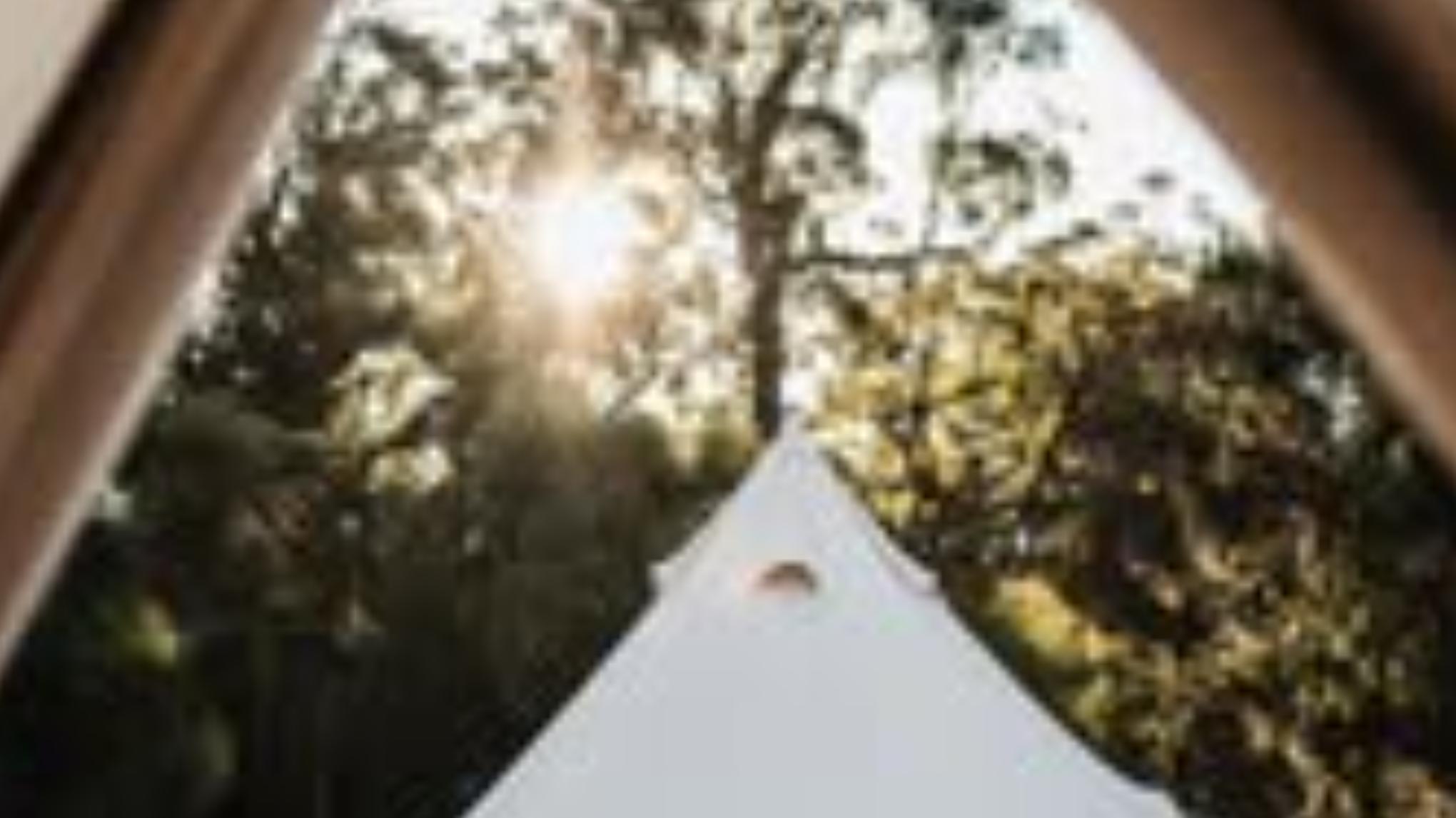Wild + Free II A Bay of Fires Retreat II  8–11 March 2027 II Tasmania