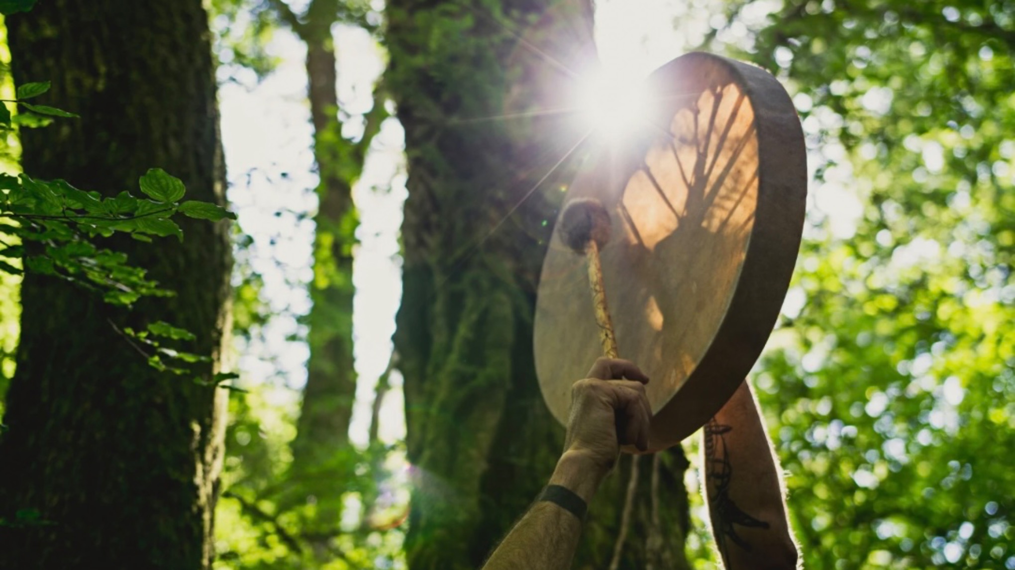 SPECIAL: Stress & Trauma Release MET Healing Drum & Cacao