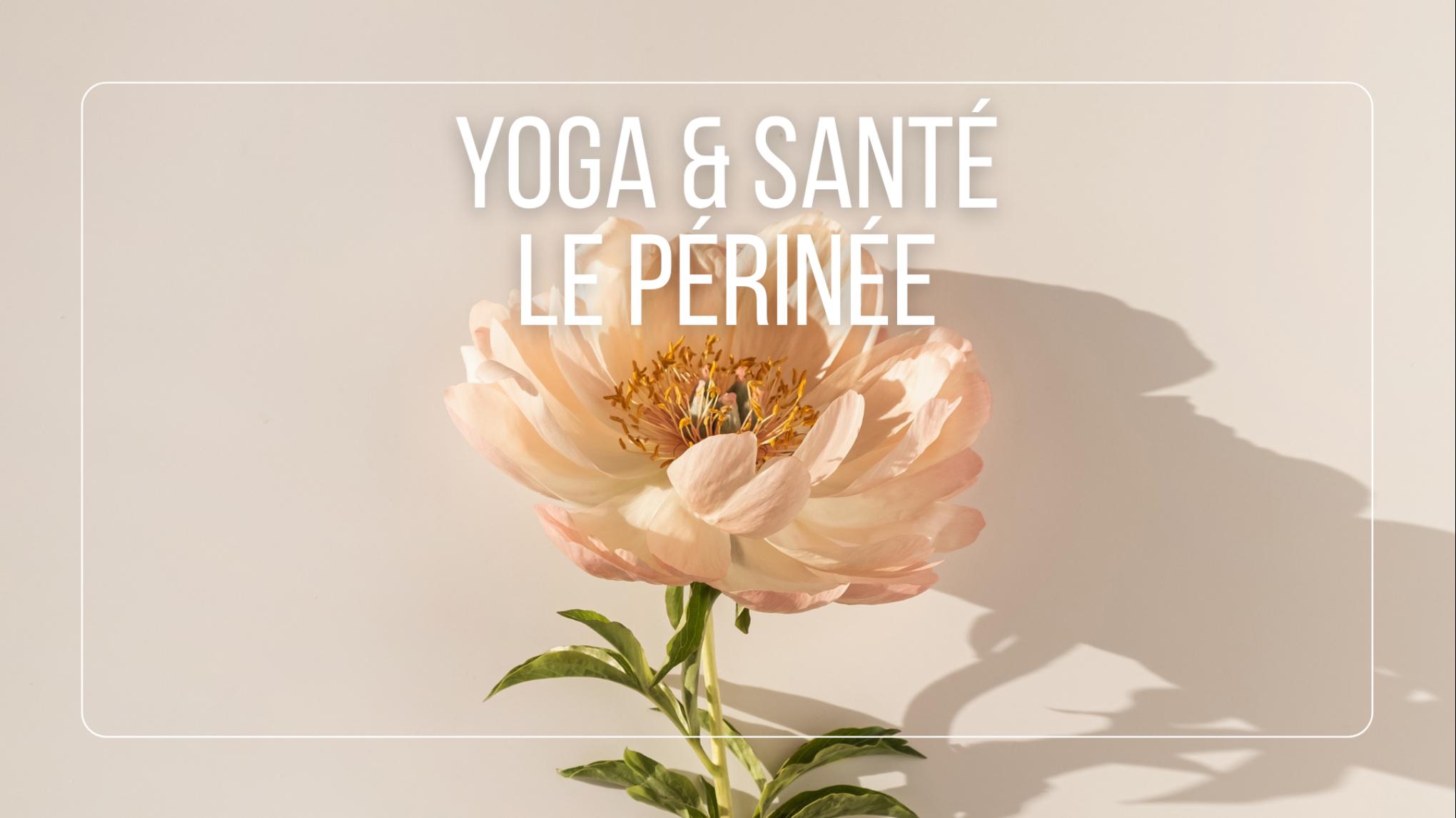 Yoga & Santé - Le Périnée par Gwendoline Le Breton