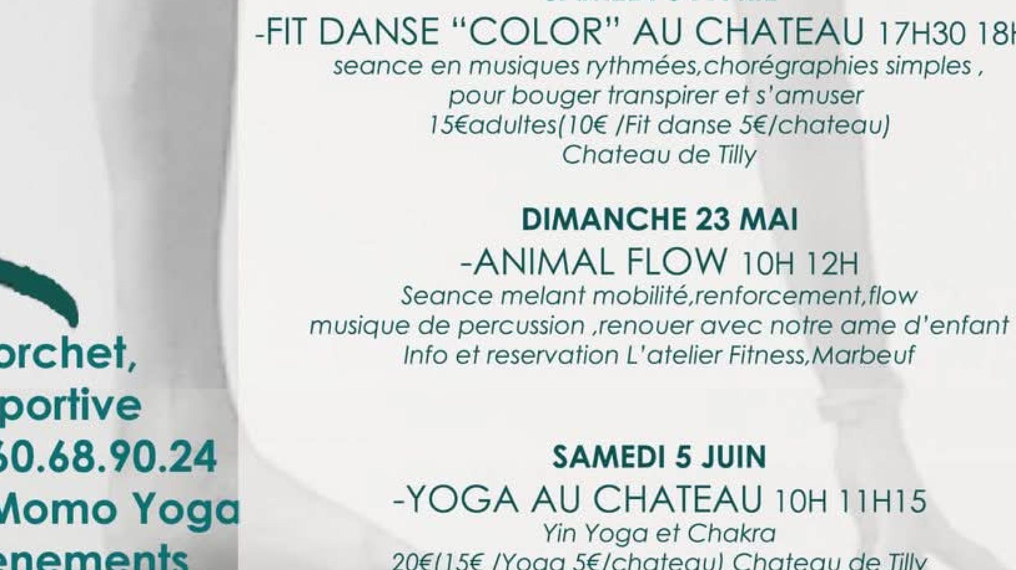 Animal flow