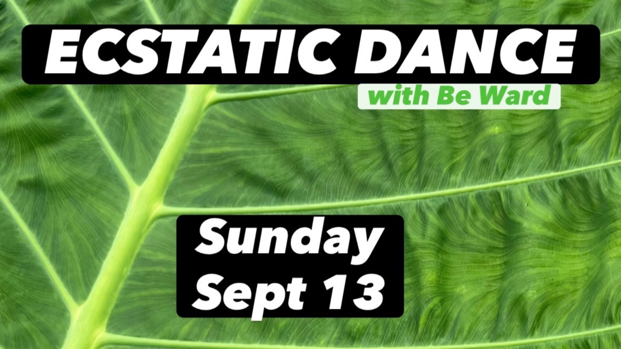 ECSTATIC DANCE
