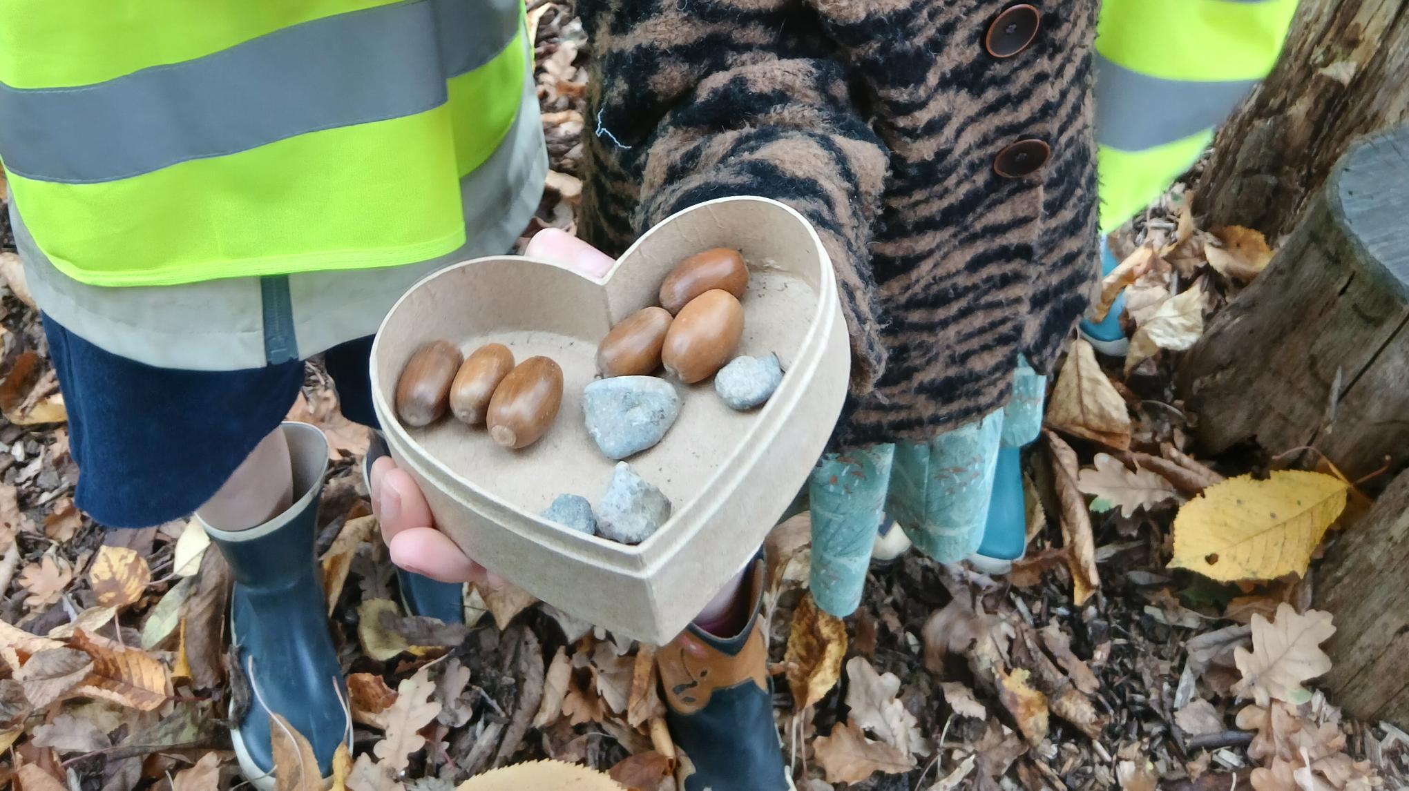 Yoga, crea en natuur XL: Tijgeren