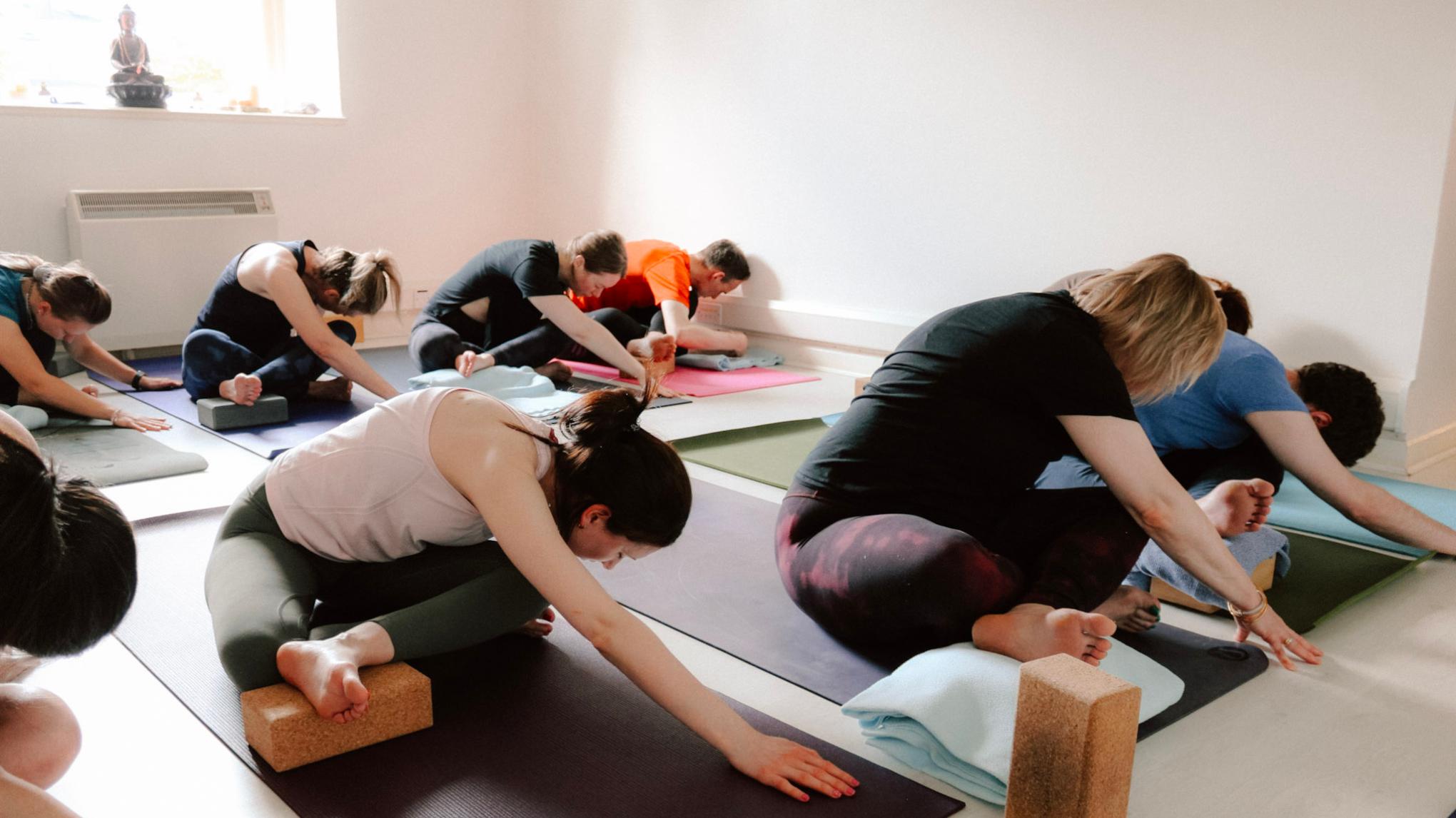 Yin/Restorative Yoga