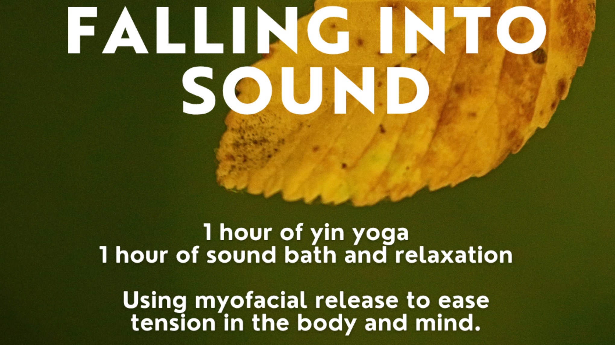 Mini Evening Retreat: Falling into Sound, yin yoga & Sound bath