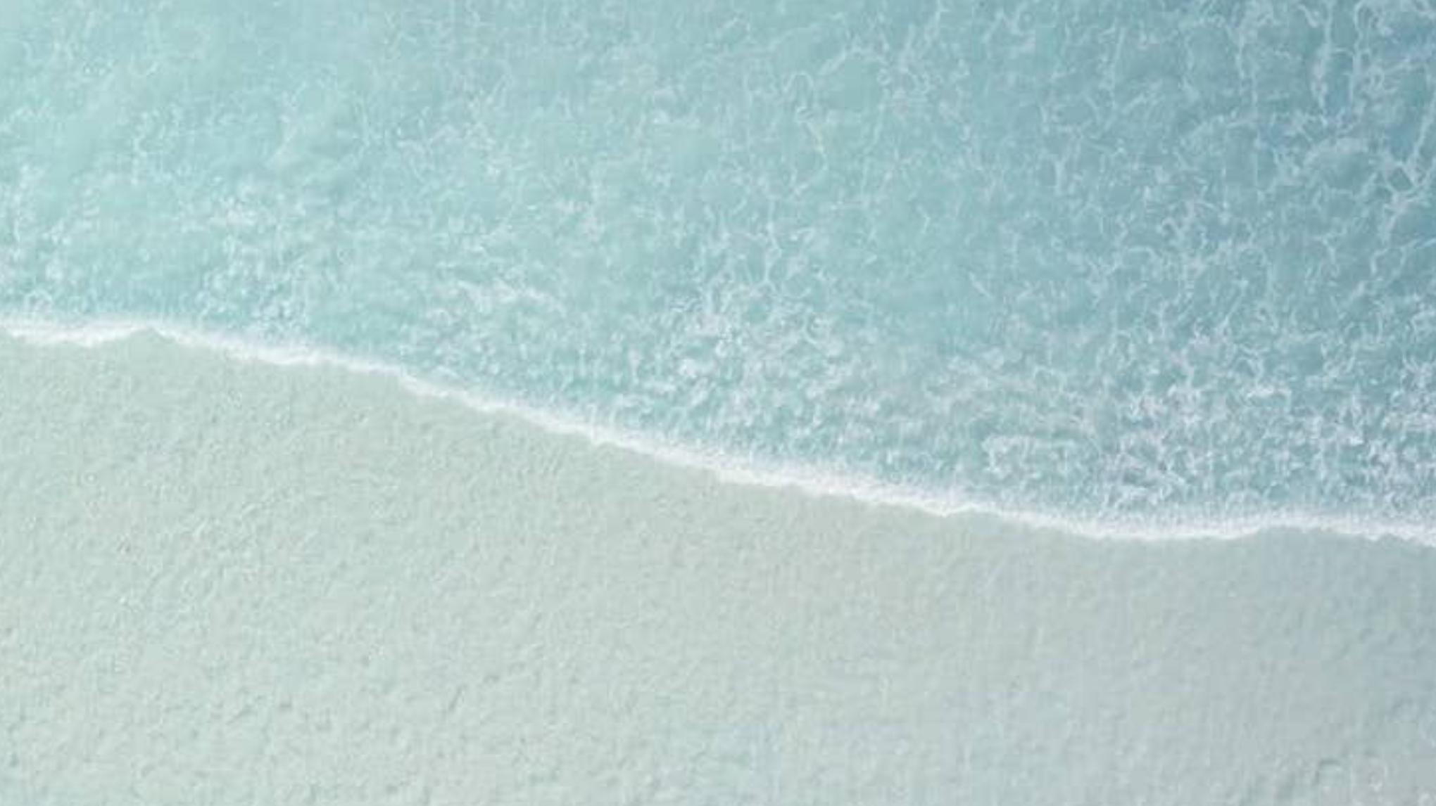 Atelier thématique - Le nerf vague (Chez Inspiration Pilates)