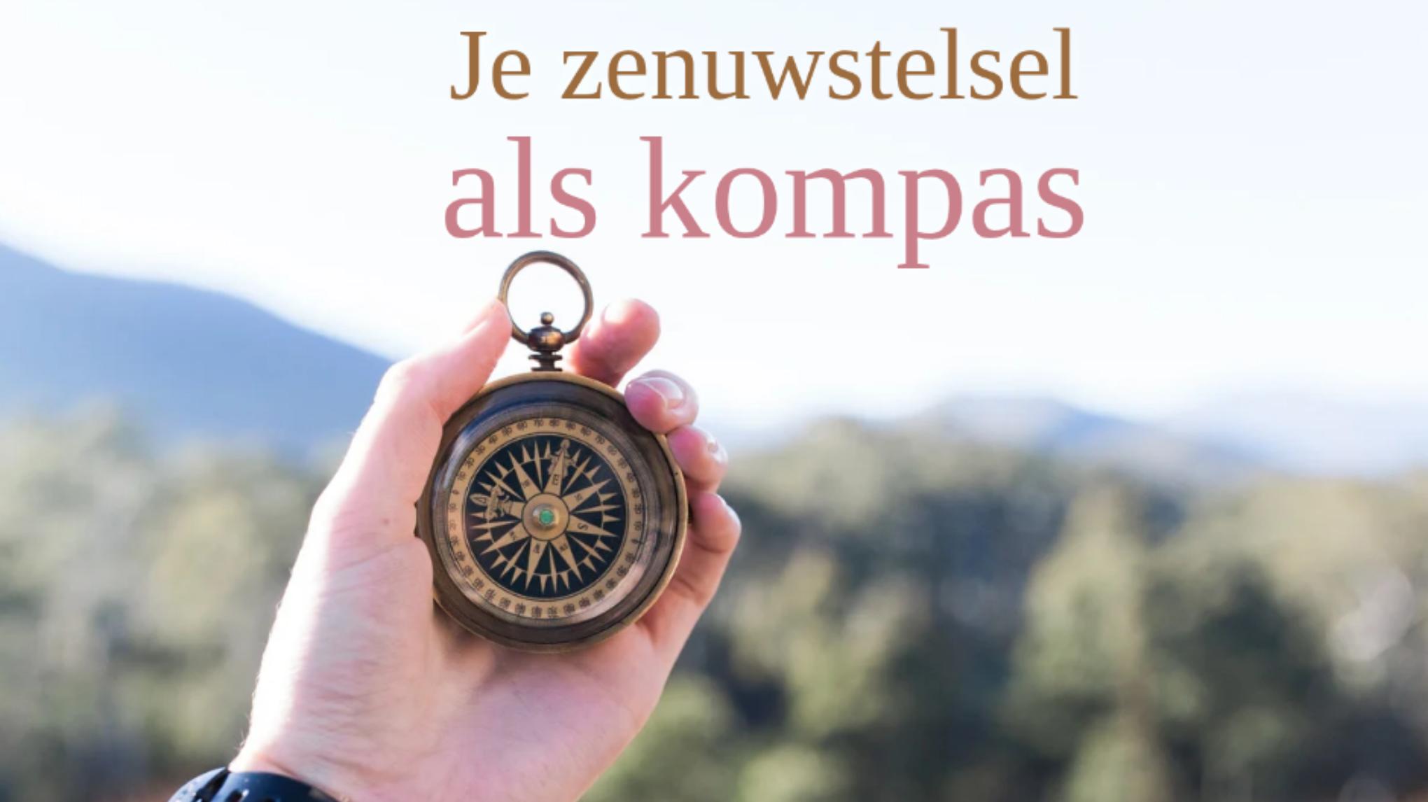 Je zenuwstelsel als kompas